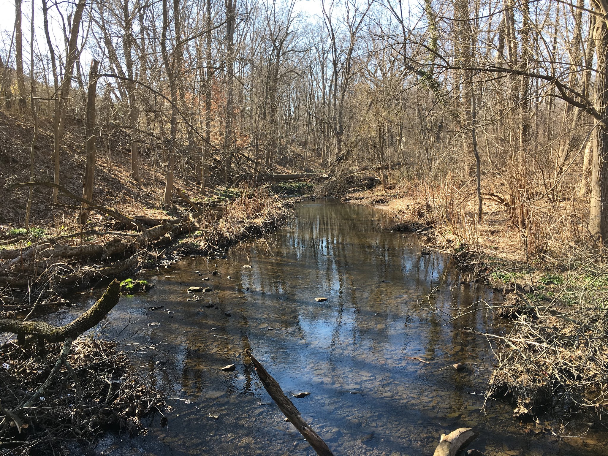 Alonzo F Bonsal Wildlife Preserve - Montclair, NJ