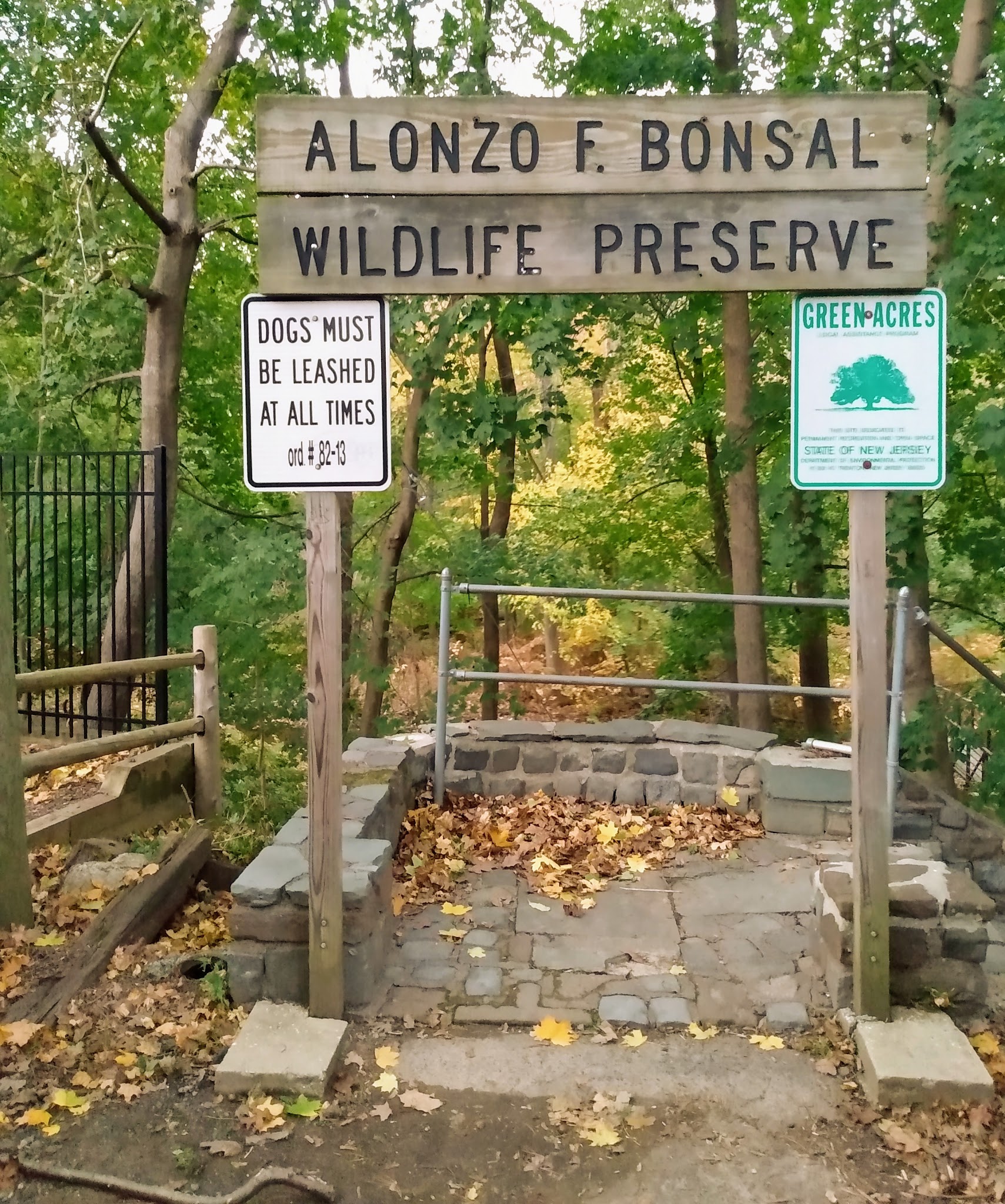 Alonzo F Bonsal Wildlife Preserve - Montclair, NJ