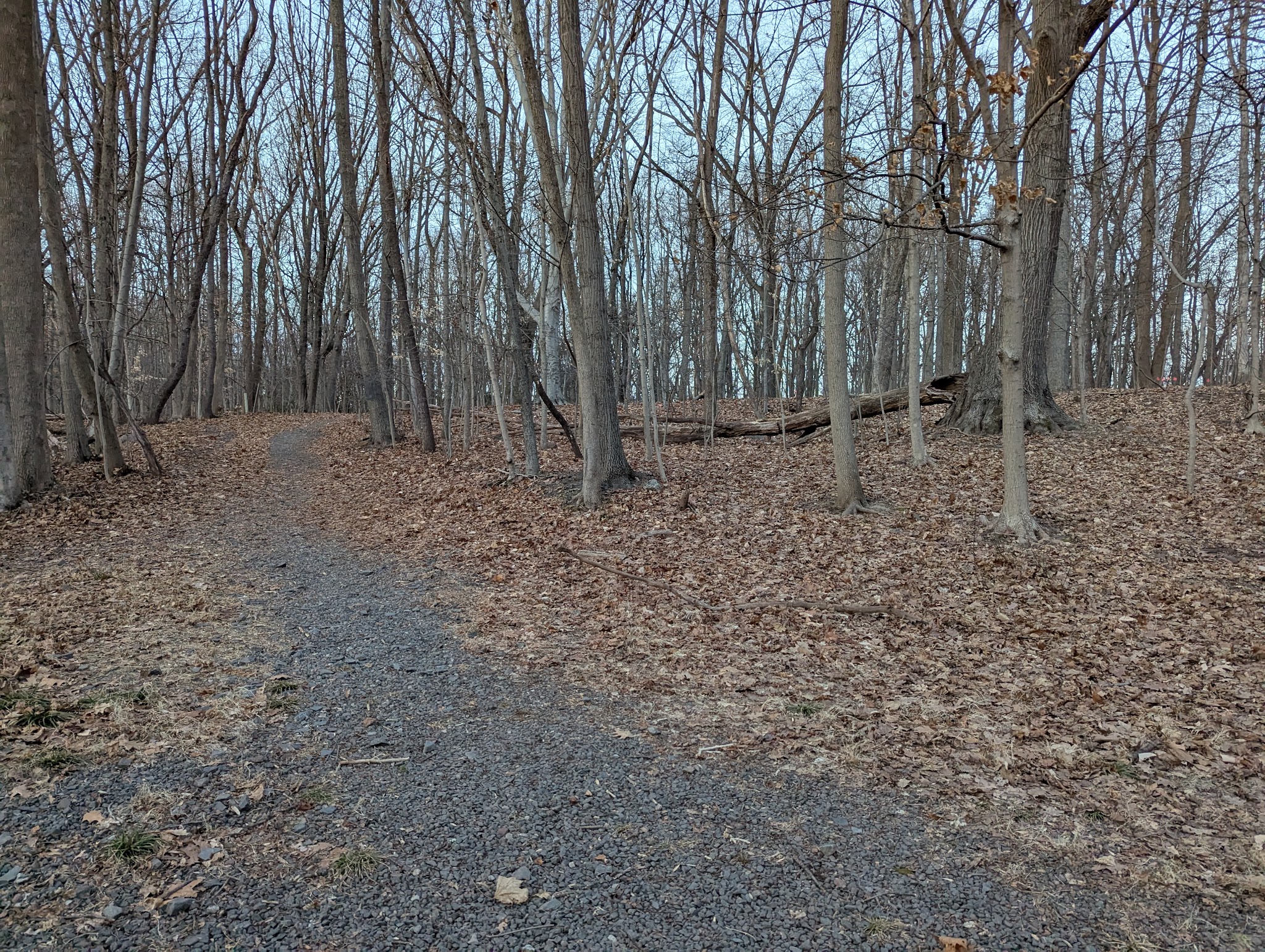Alonzo F Bonsal Wildlife Preserve - Montclair, NJ