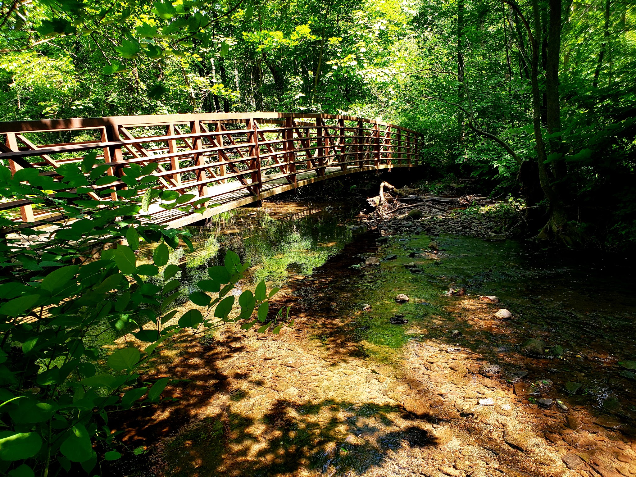 Alonzo F Bonsal Wildlife Preserve - Montclair, NJ