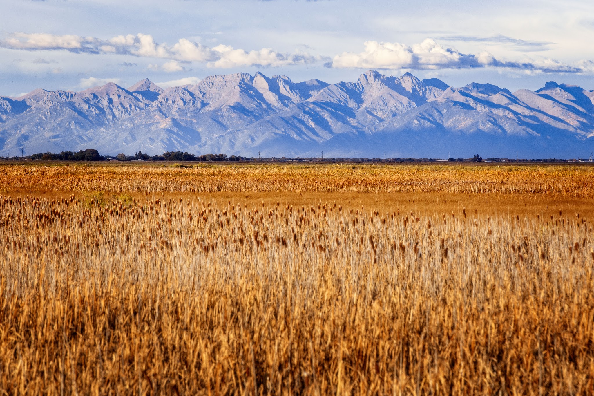 Monte Vista National Wildlife Refuge - Monte Vista, CO