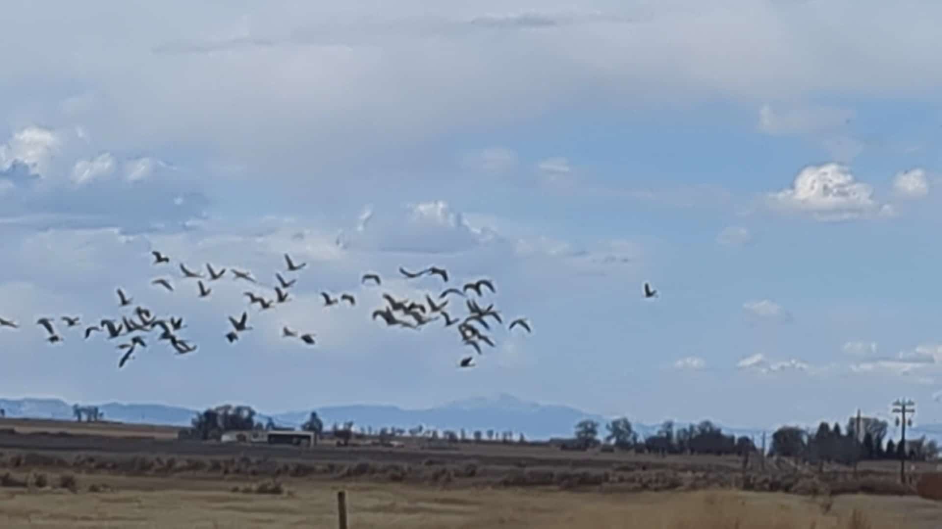 Monte Vista National Wildlife Refuge - Monte Vista, CO