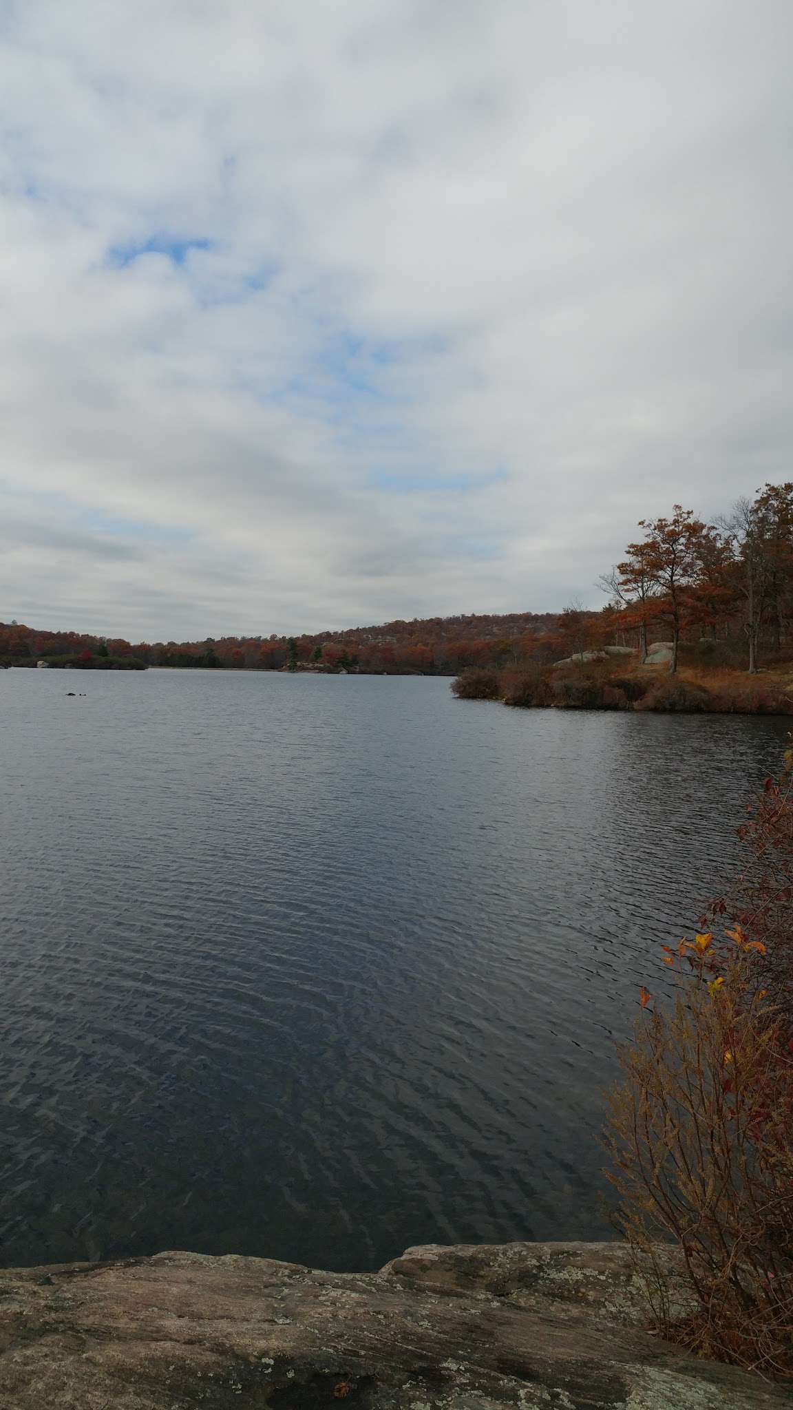 Dog Park - Montebello, NY