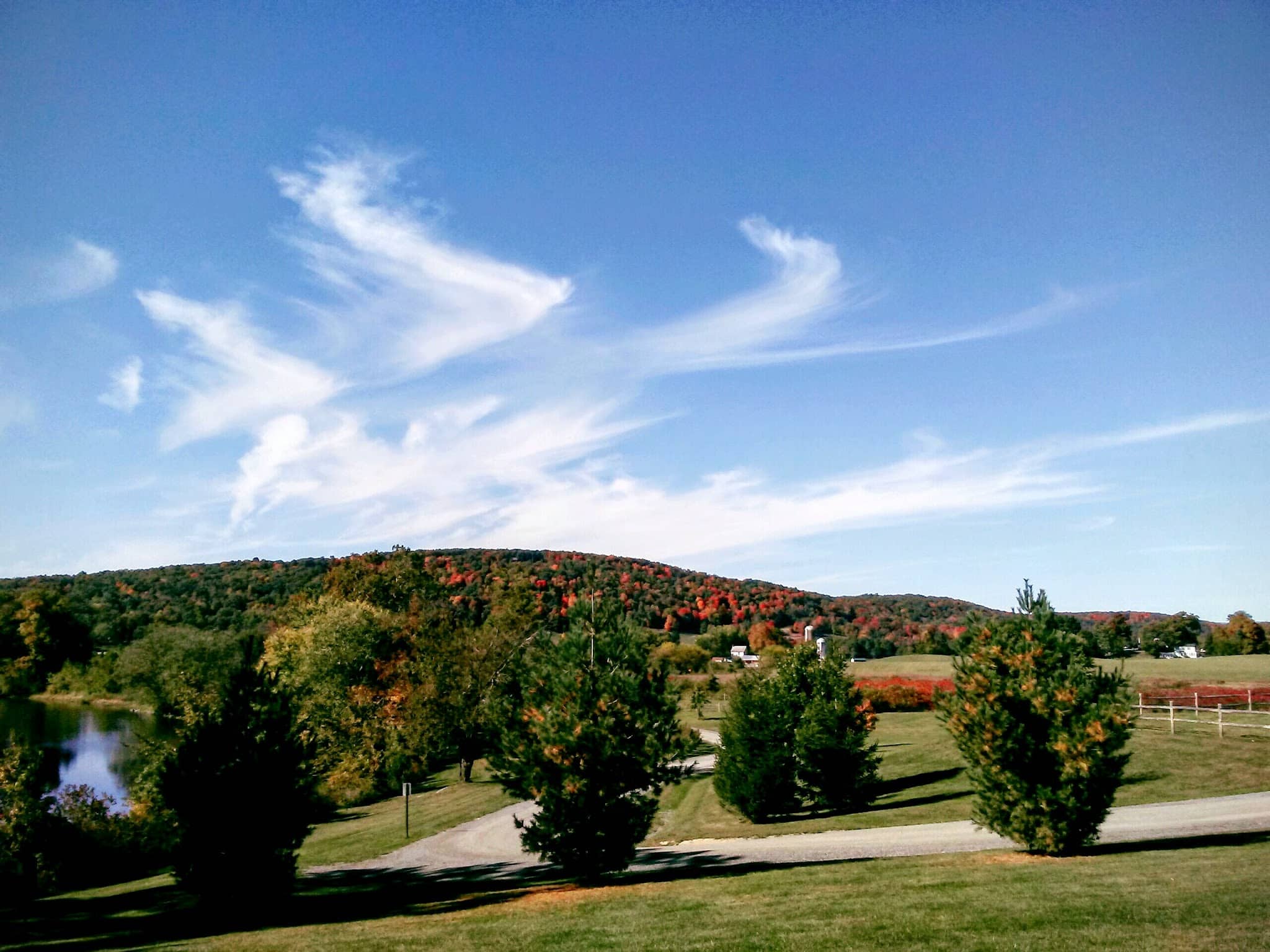Benedict Farm Park - Montgomery, NY