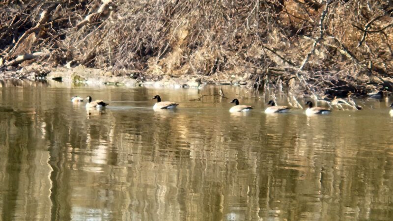 Montgomery Pleasure Ground Park - Montgomery, NY