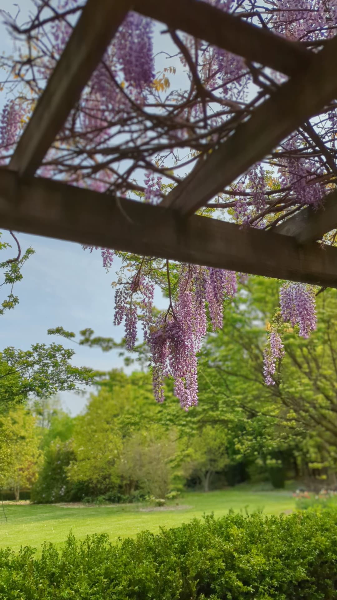 Thomas Bull Memorial Park - Montgomery, NY