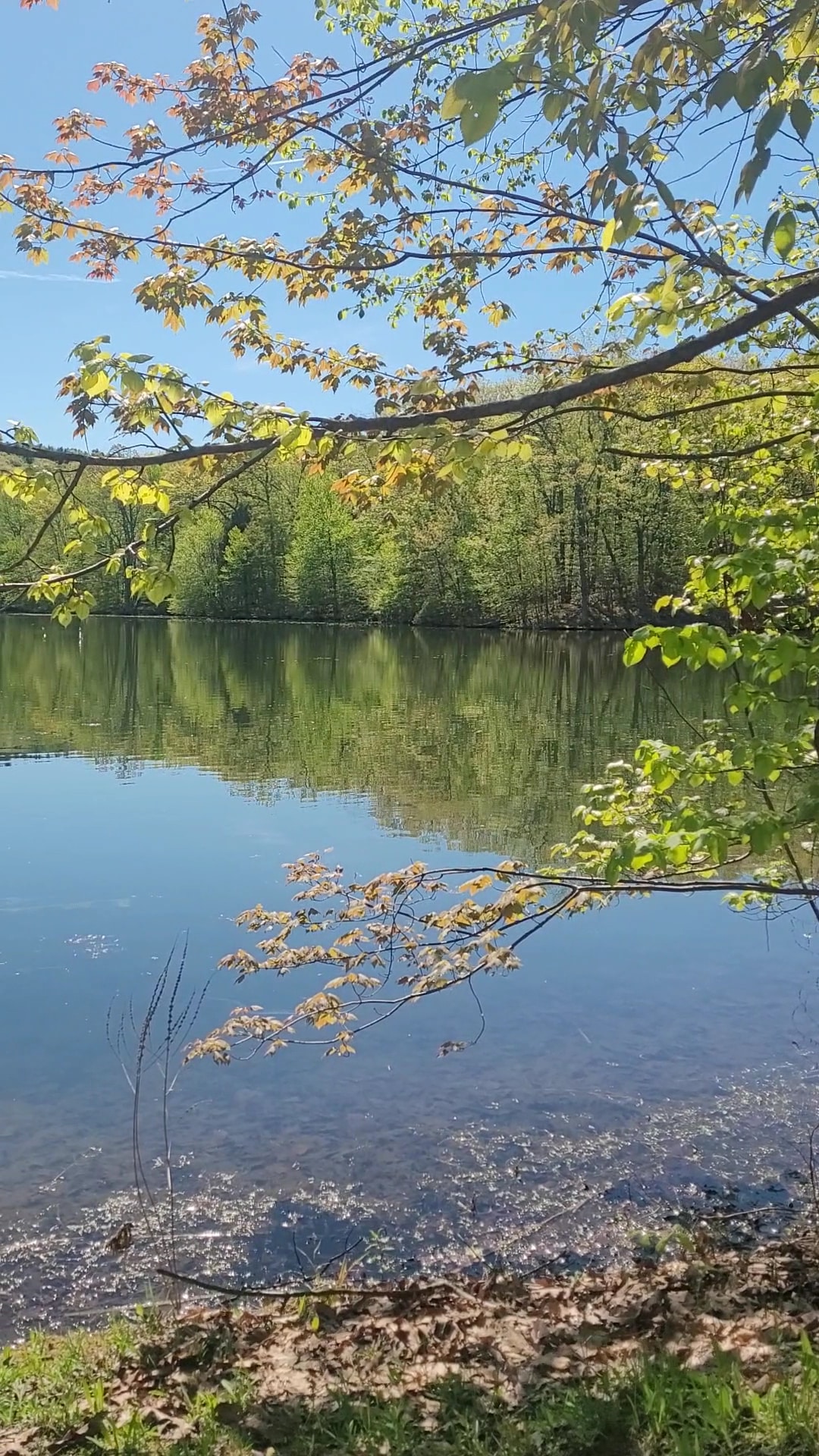 Winding Hills County Park - Montgomery, NY