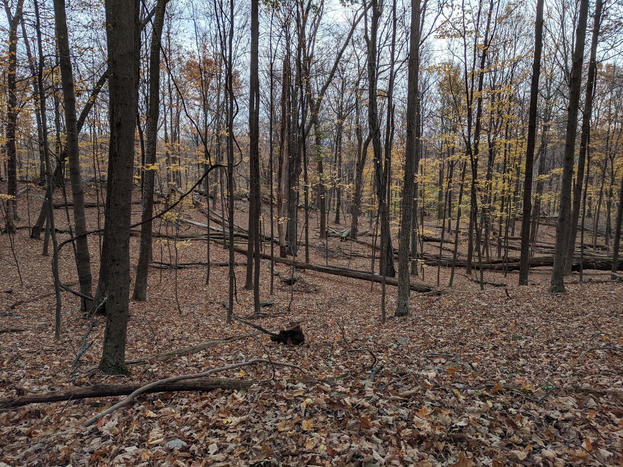 Winding Hills County Park - Montgomery, NY