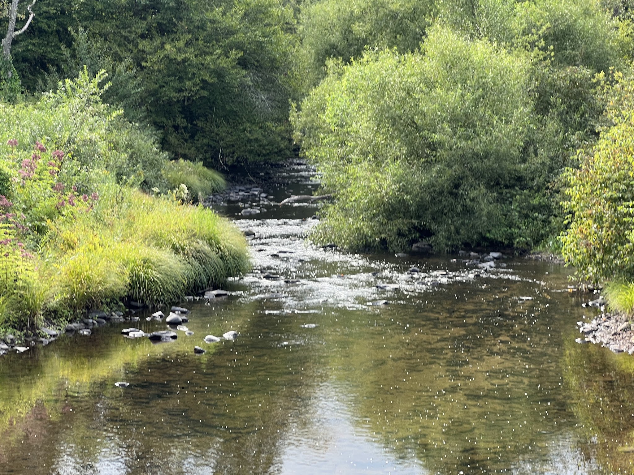 East Mongaup River Park - Monticello, NY