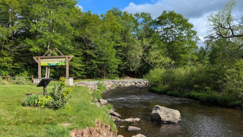 East Mongaup River Park - Monticello, NY