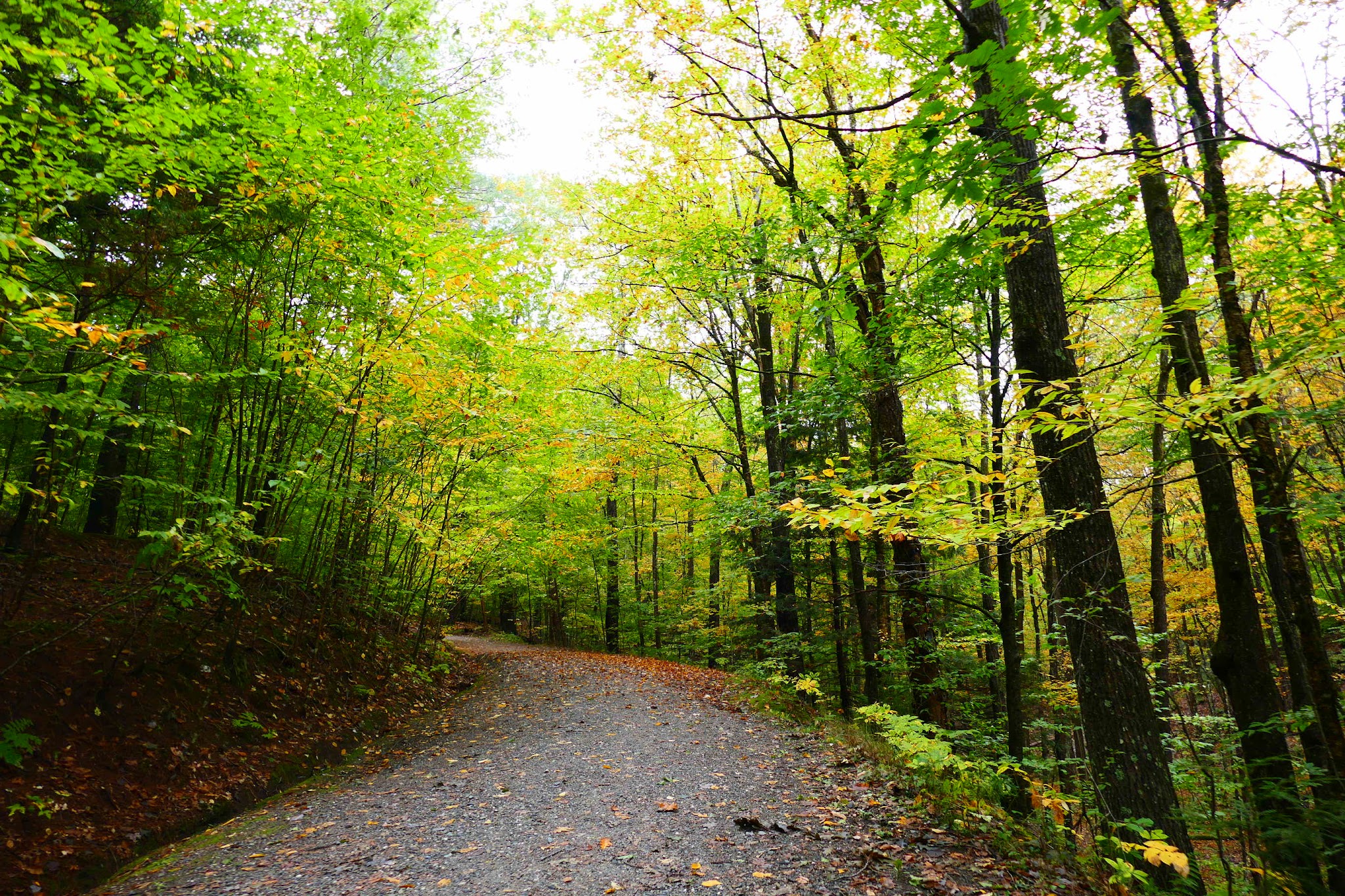 Hubbard Park - Montpelier, VT