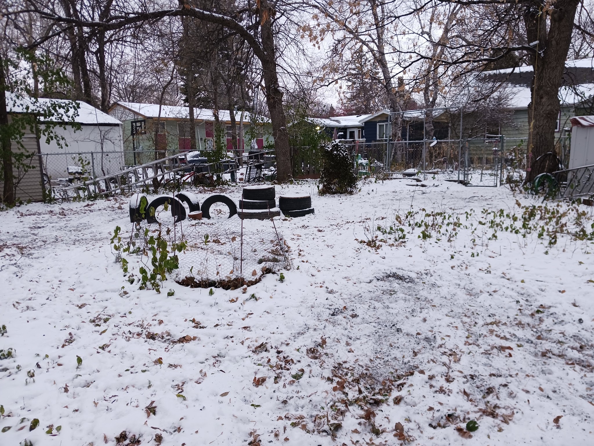 Nemo & Lux's dog park - Moorhead, MN