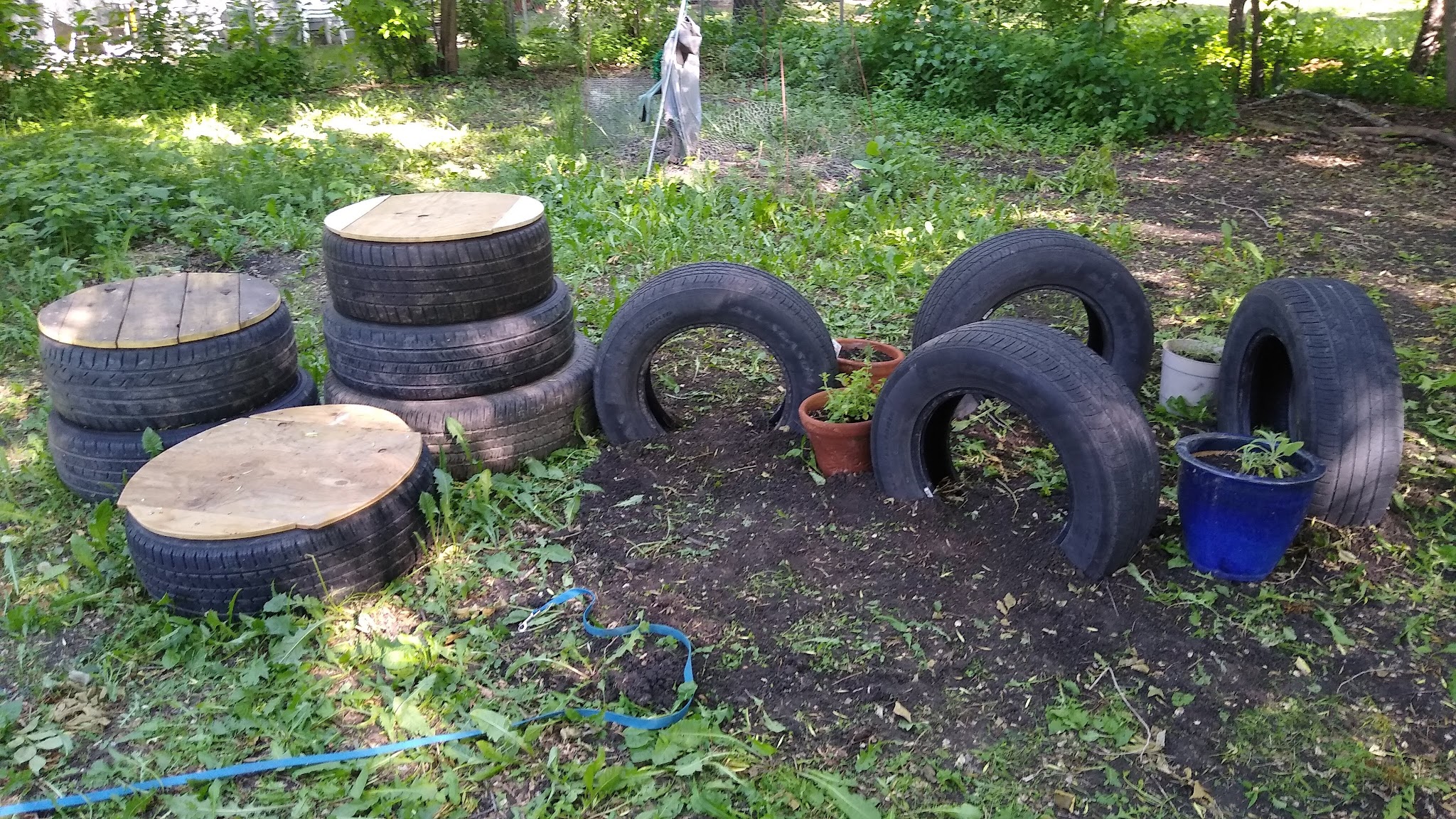 Nemo & Lux's dog park - Moorhead, MN