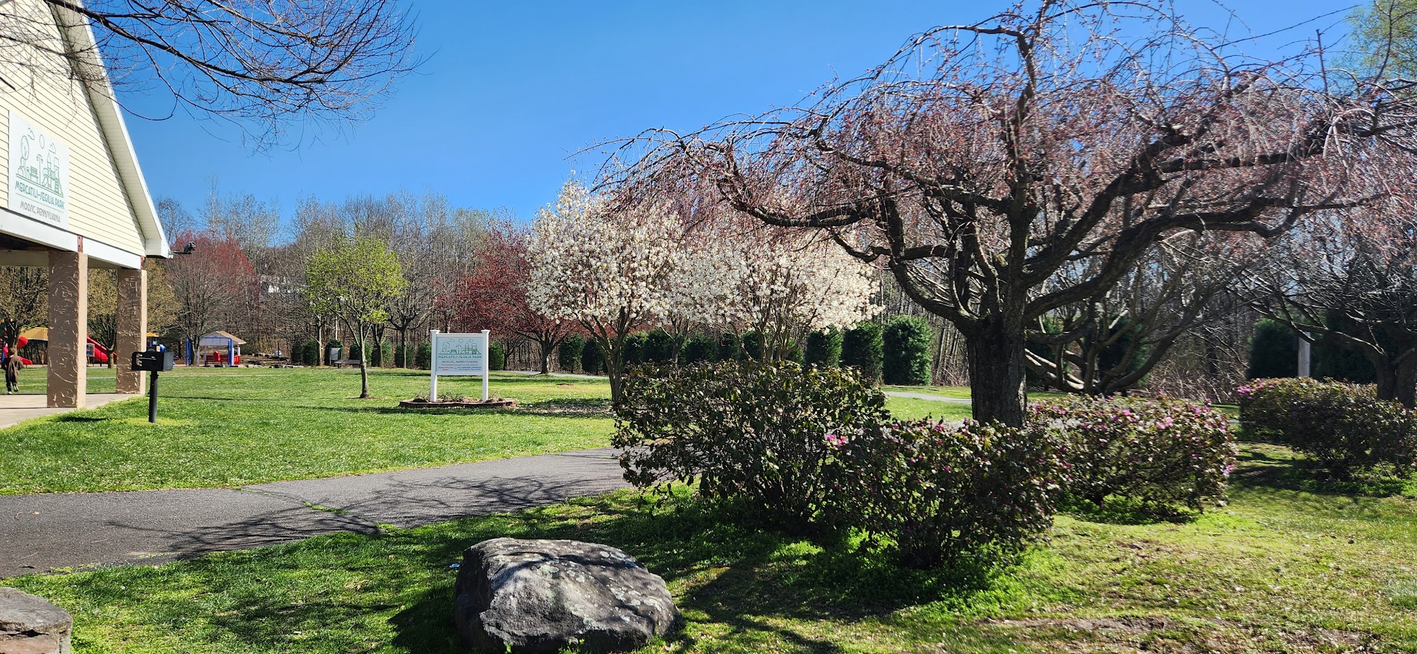 Mercatili Segilia Park - Moosic, PA