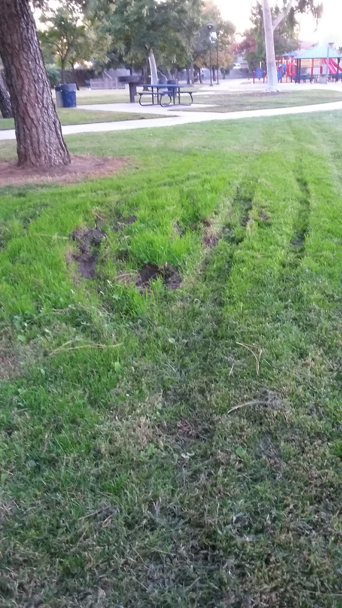 Bayside Park - Moreno Valley, CA