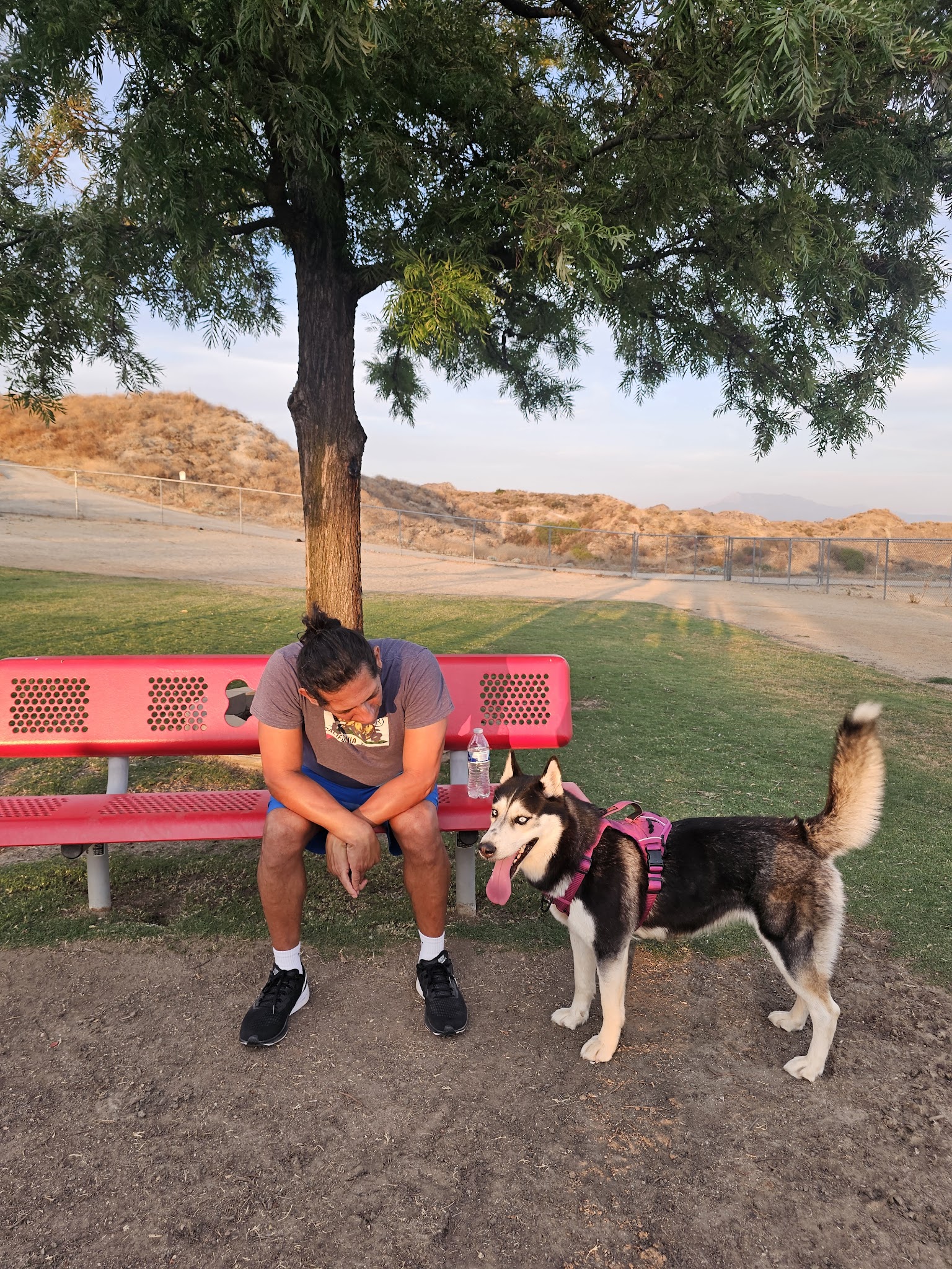 Hound Town - Moreno Valley, CA
