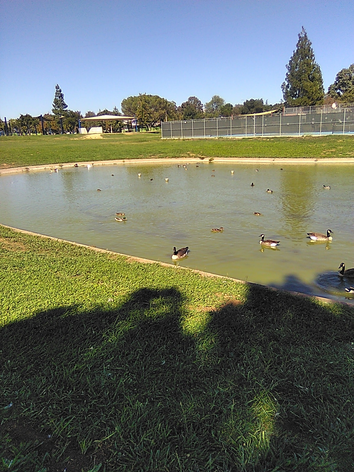 Morgan Hill Dog Park - Morgan Hill, CA