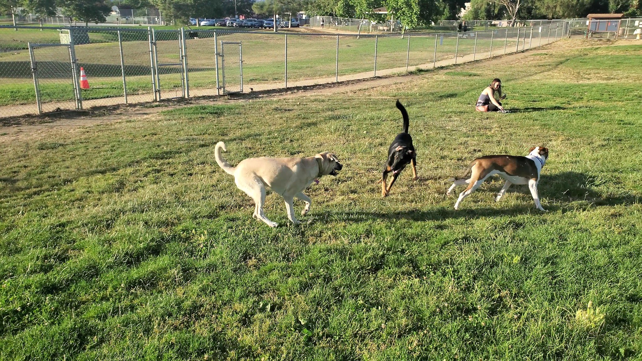 Morgan Hill Dog Park - Morgan Hill, CA