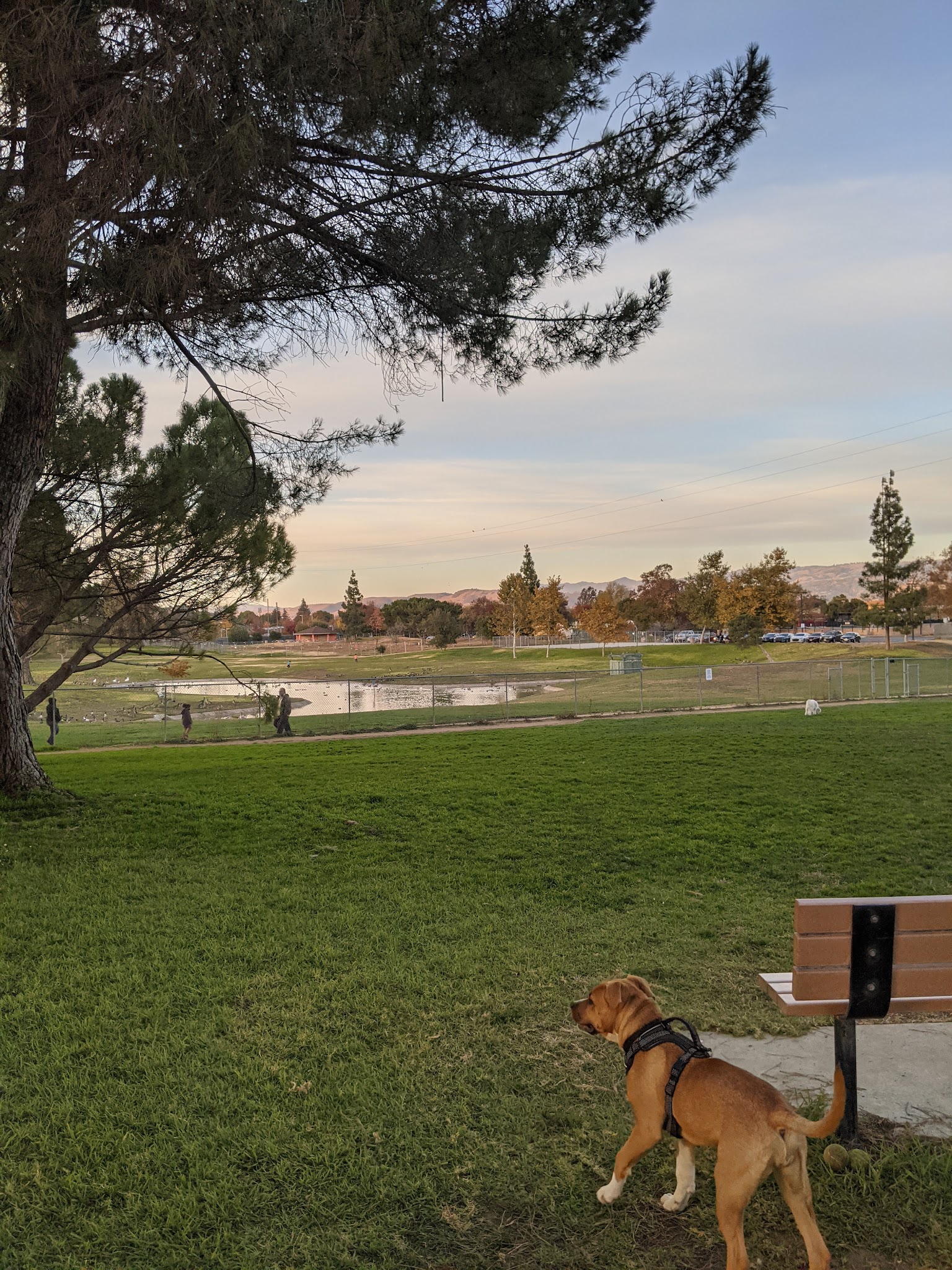 Morgan Hill Dog Park - Morgan Hill, CA