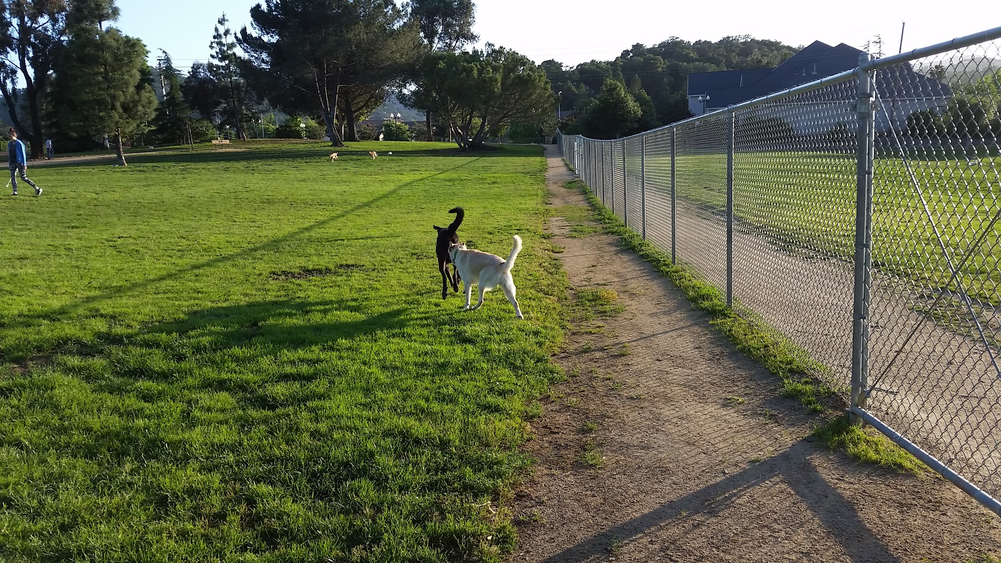Morgan Hill Dog Park - Morgan Hill, CA