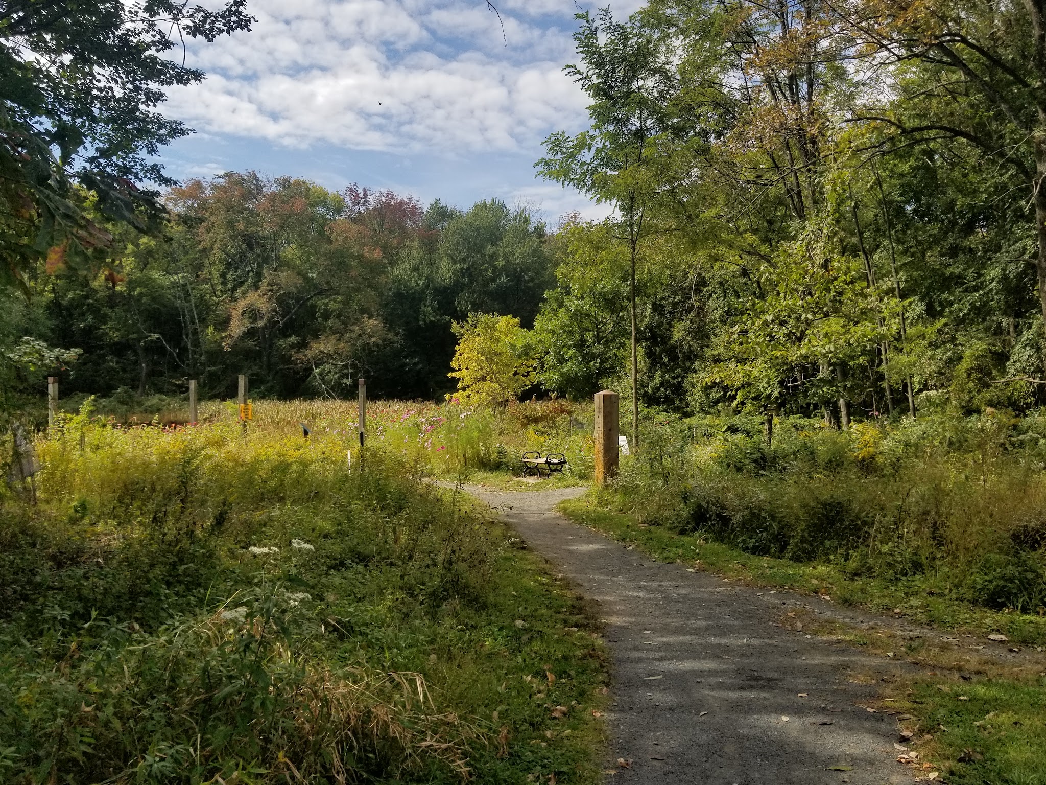 Foote's Pond Park - Morristown, NJ