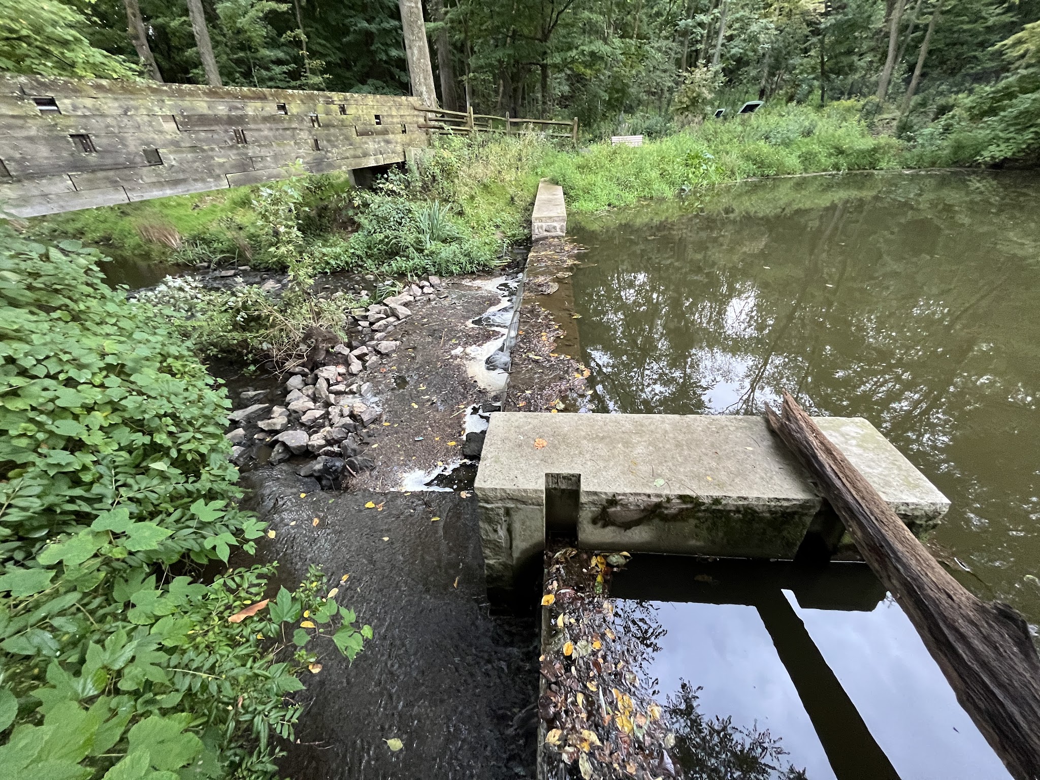 Foote's Pond Park - Morristown, NJ