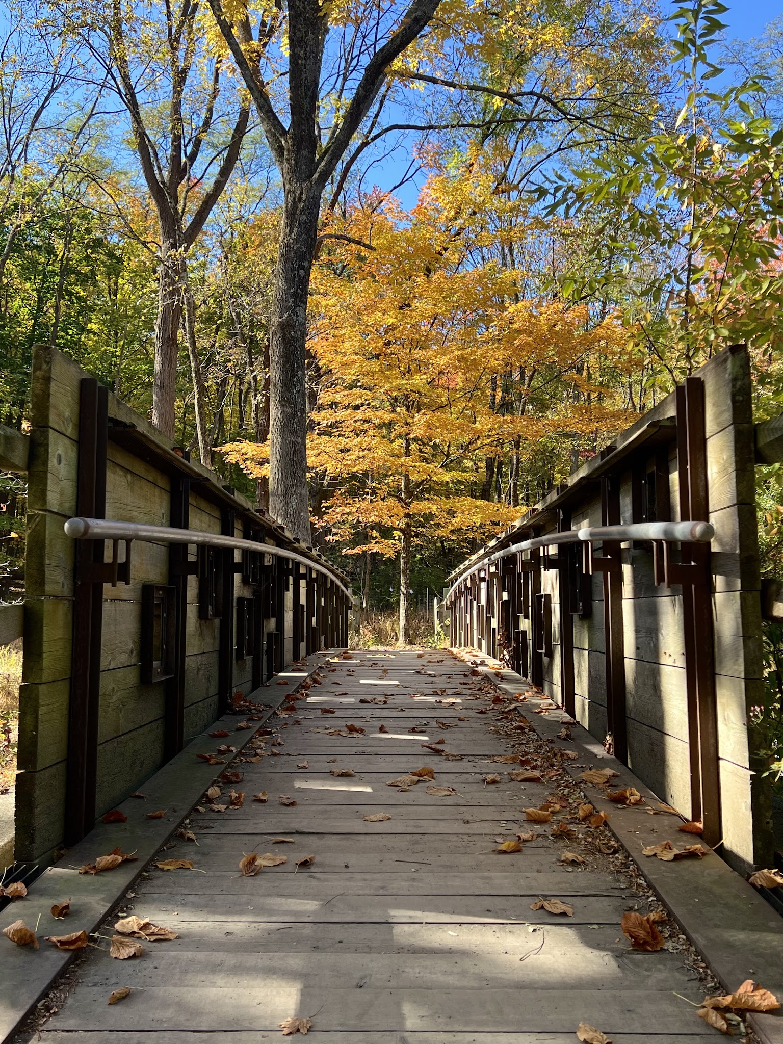 Foote's Pond Park - Morristown, NJ