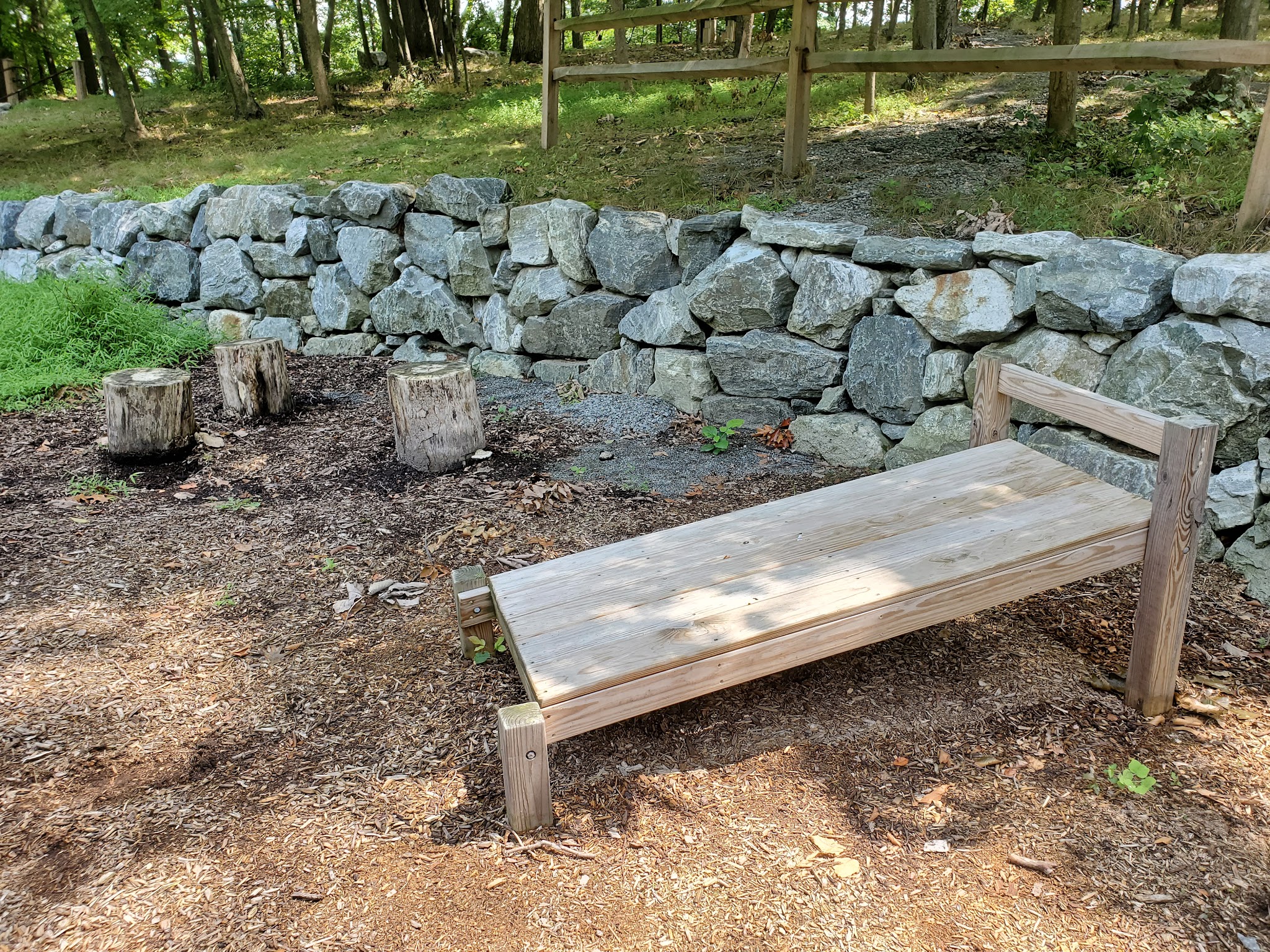 Kleitman Woods Park - Morristown, NJ