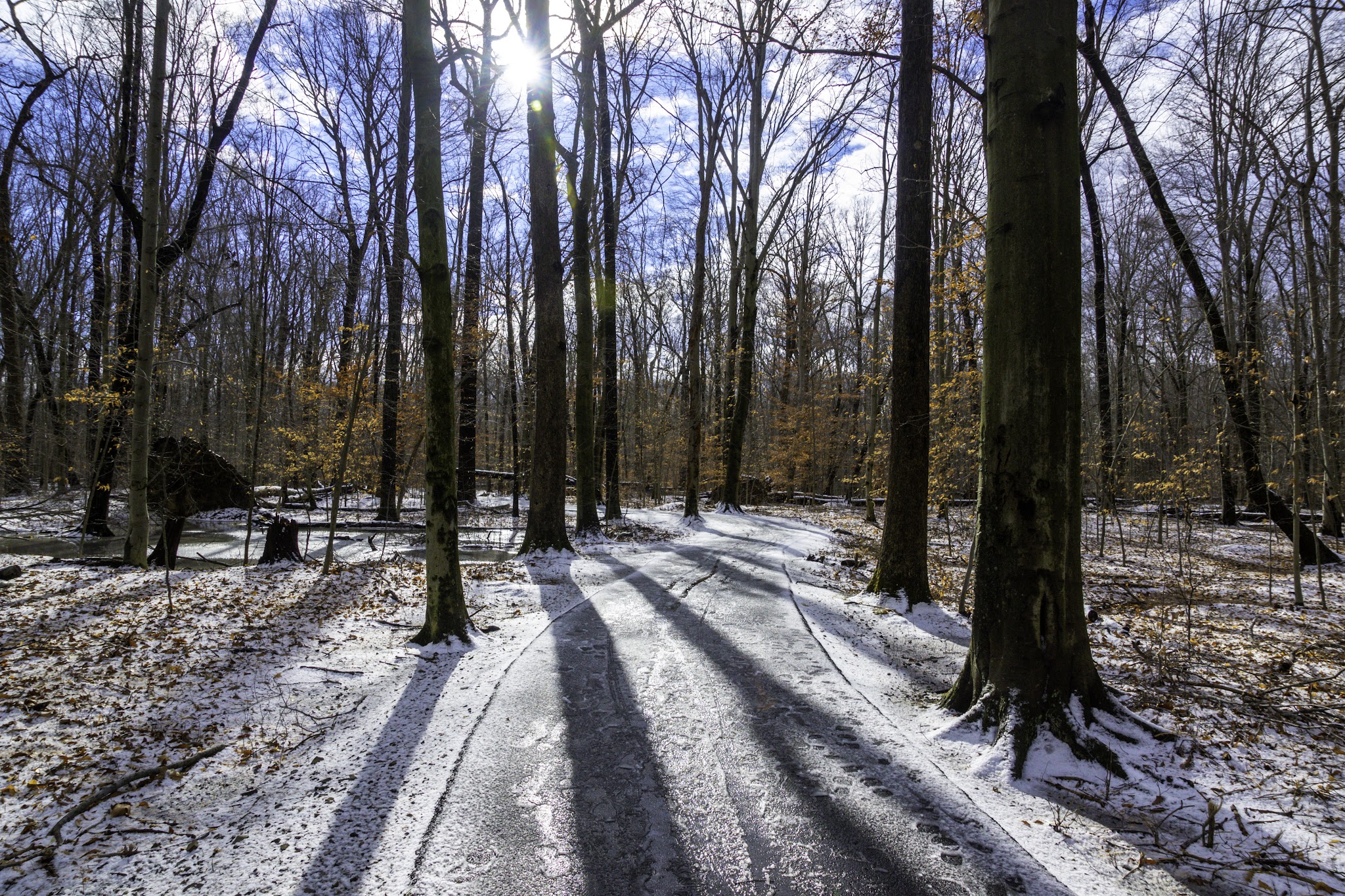 Loantaka Brook Park, Madison, NJ - Morristown, NJ