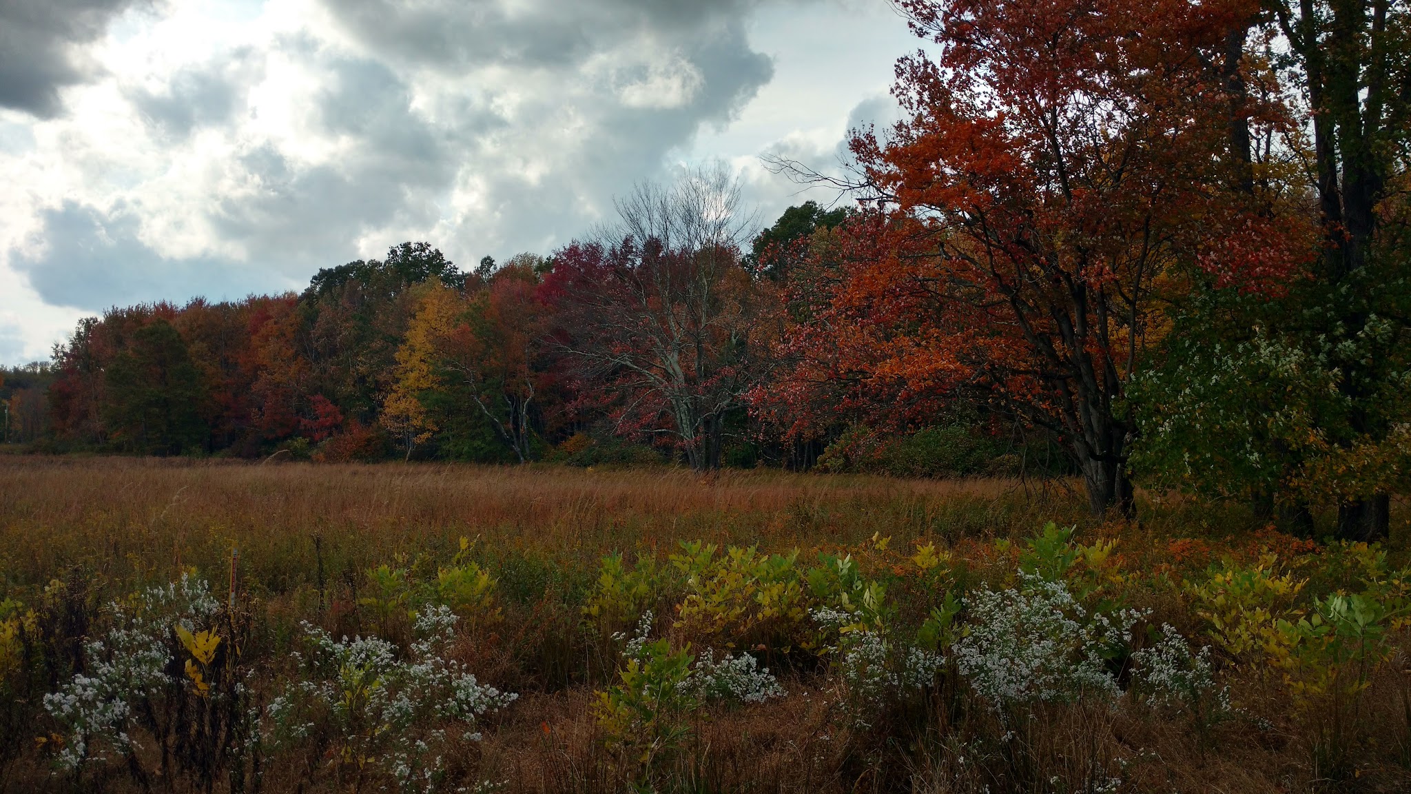 Loantaka Brook Park, Madison, NJ - Morristown, NJ