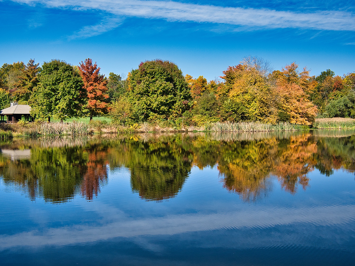 Loantaka Brook Reservation - Morristown, NJ