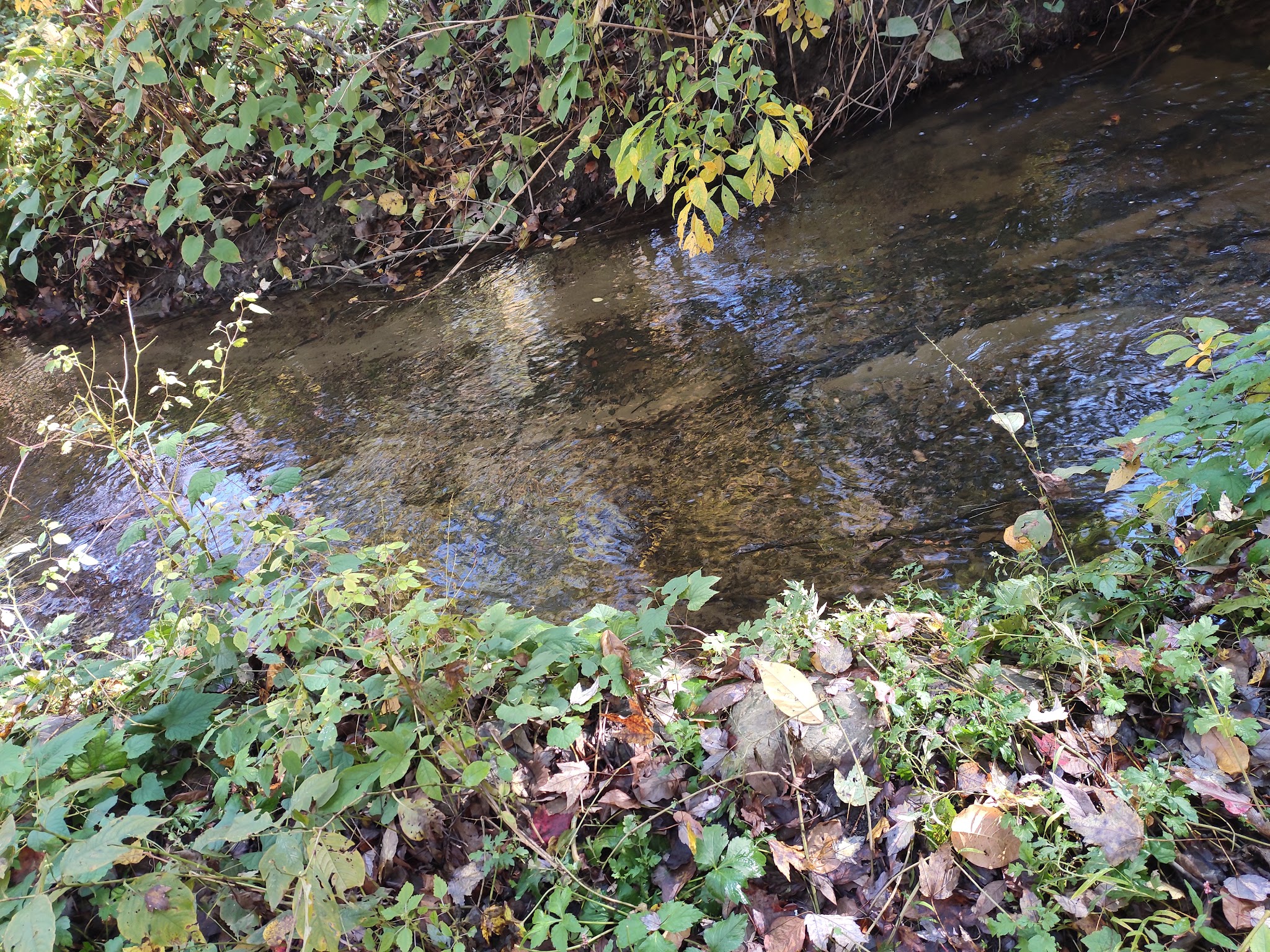 Loantaka Pond Area, Morris County Park - Morristown, NJ