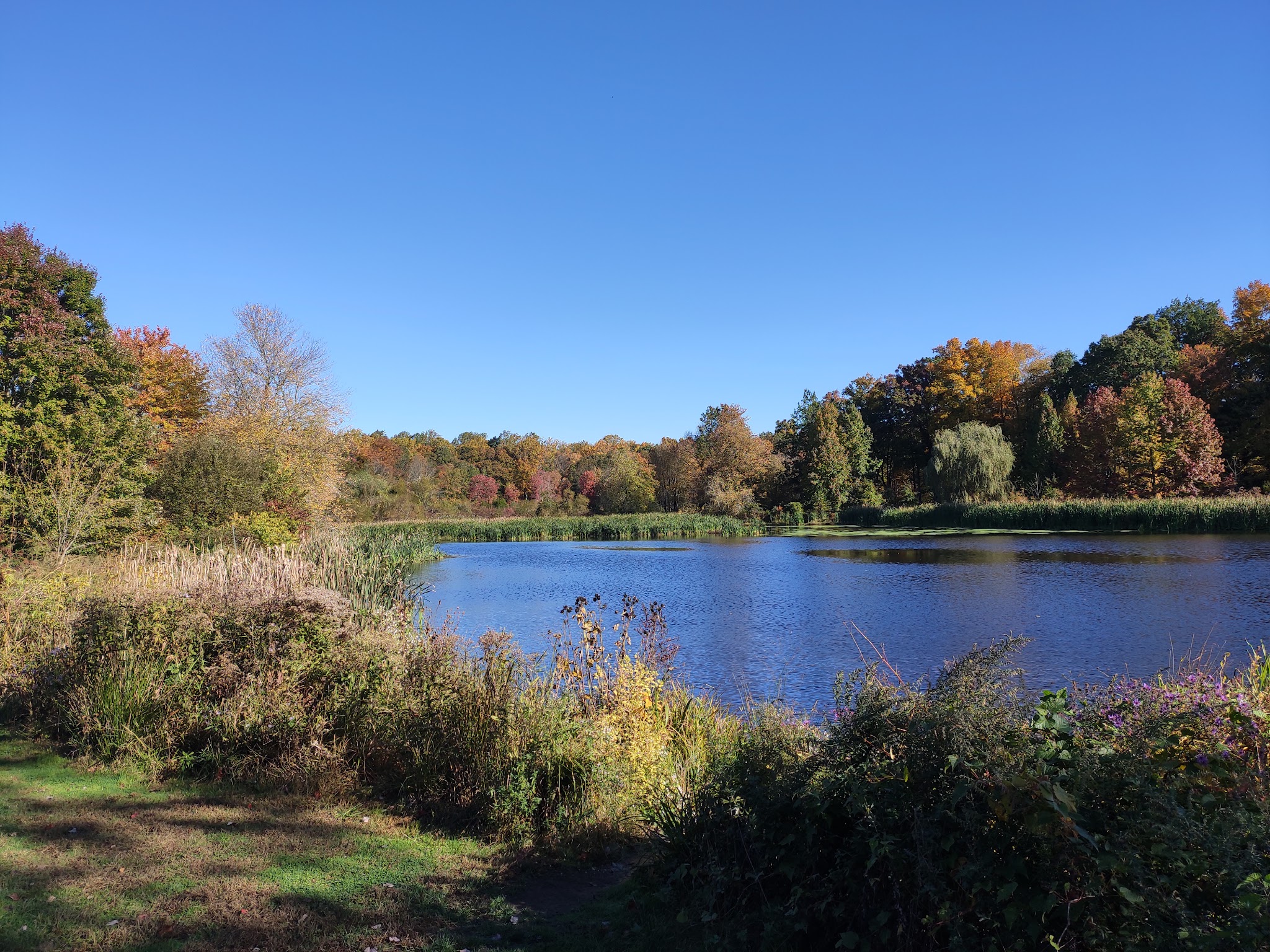 Loantaka Pond Area, Morris County Park - Morristown, NJ