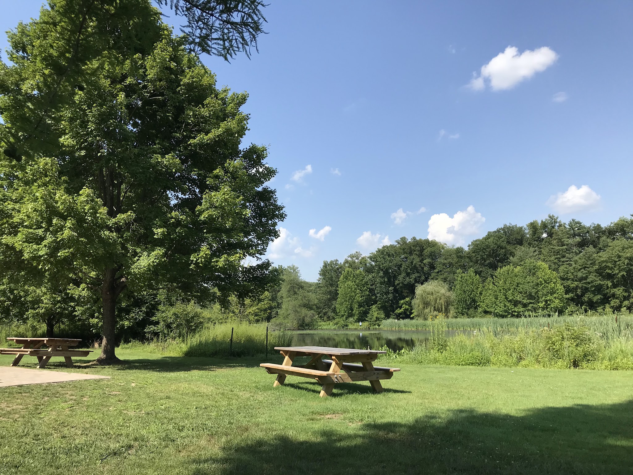 Loantaka Pond Area, Morris County Park - Morristown, NJ