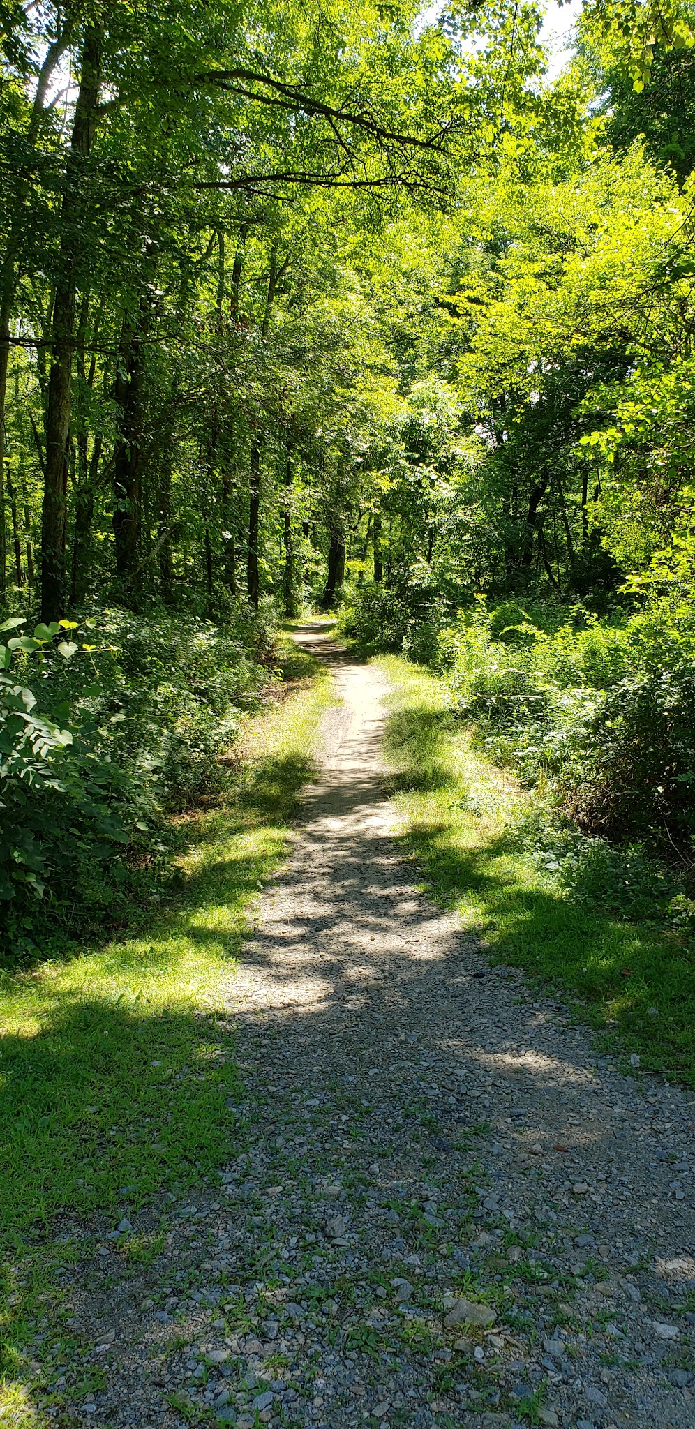 Patriots' Path - 1976 Section - Morristown, NJ