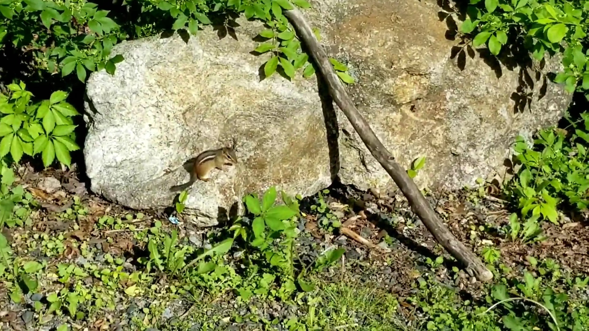 Patriots' Path - 1976 Section - Morristown, NJ