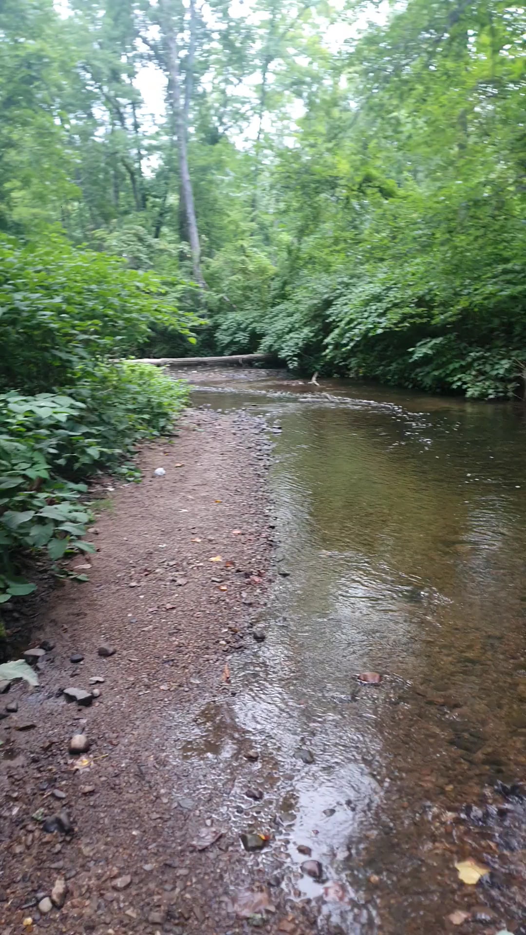 Patriots' Path - 1976 Section - Morristown, NJ