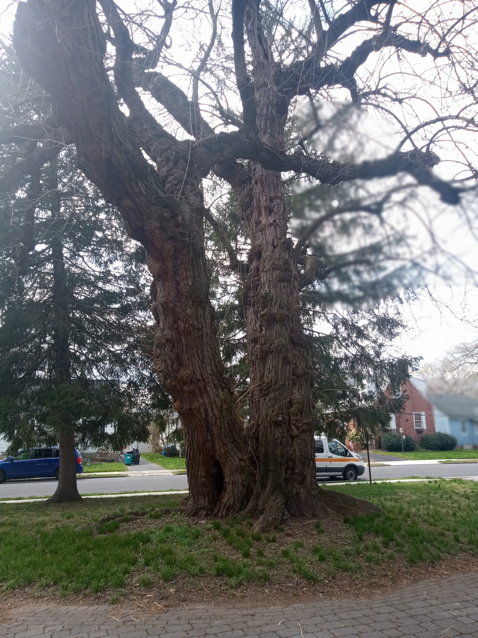 Patriot's Park - Morrisville, PA