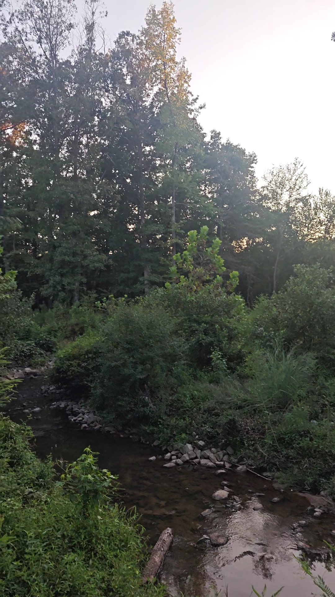 Jesters Creek Trail - Morrow, GA