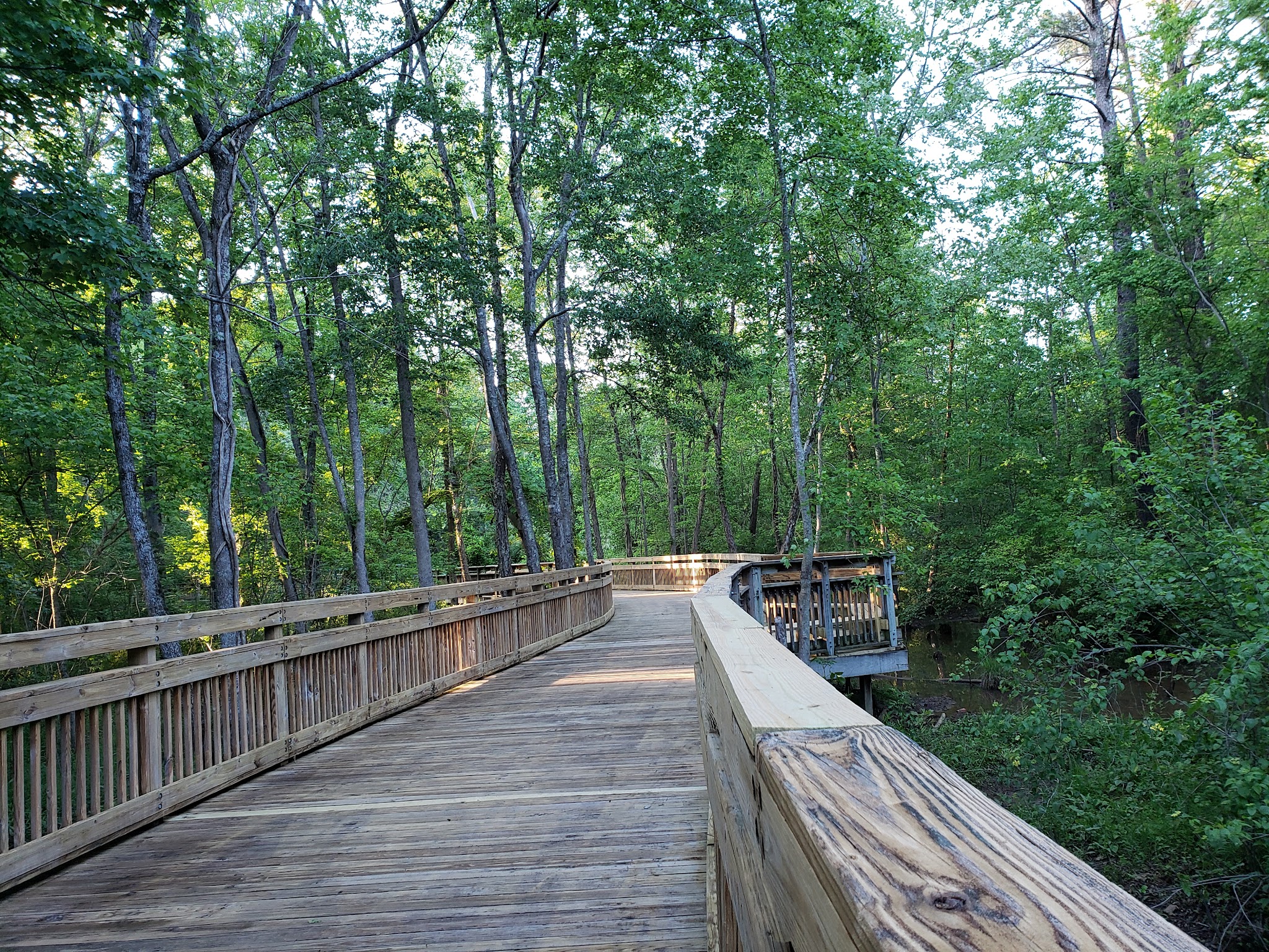 Jesters Creek Trail - Morrow, GA