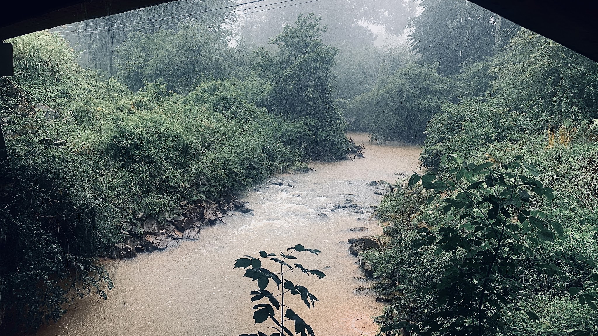 Jesters Creek Trail - Morrow, GA