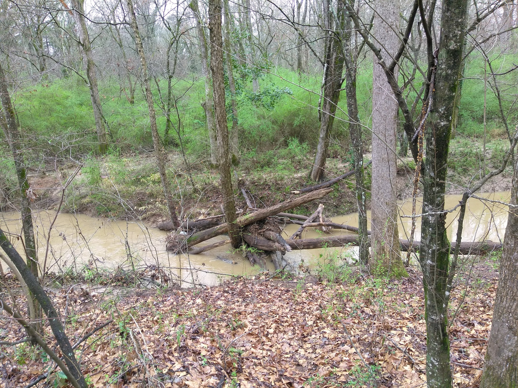 Jesters Creek Trail - Morrow, GA