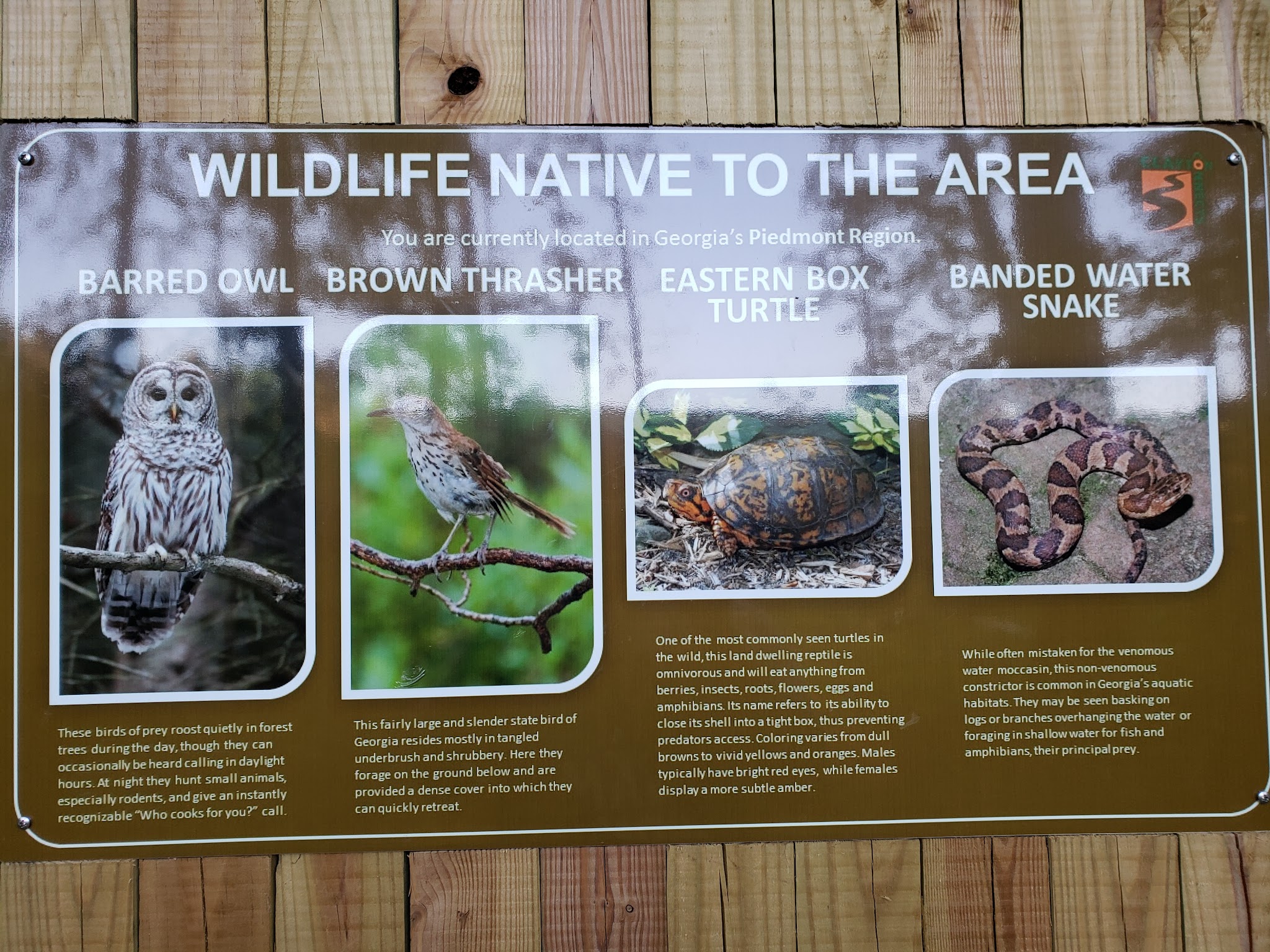 Jesters Creek Trail - Morrow, GA