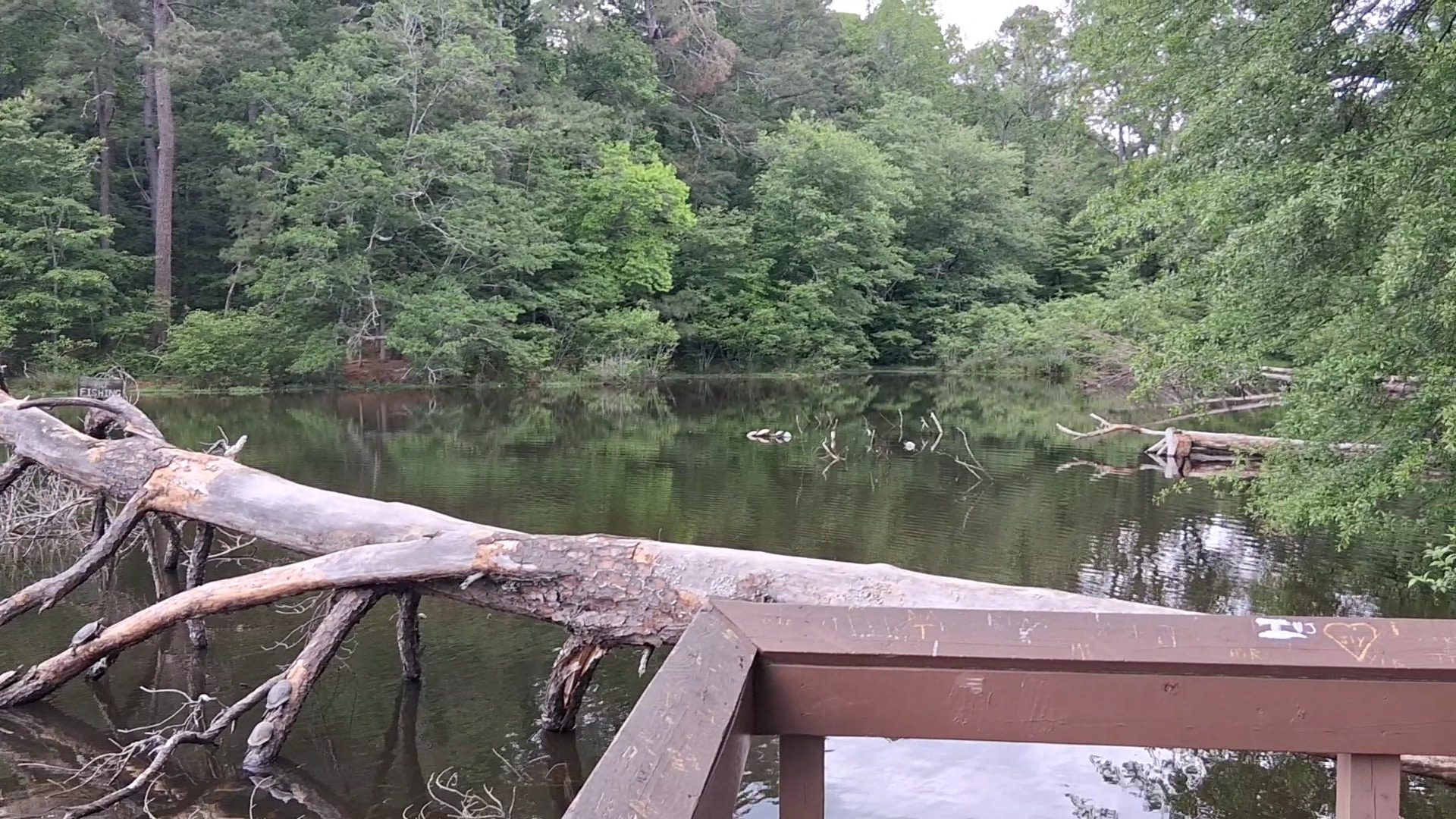 Reynolds Nature Preserve - Morrow, GA