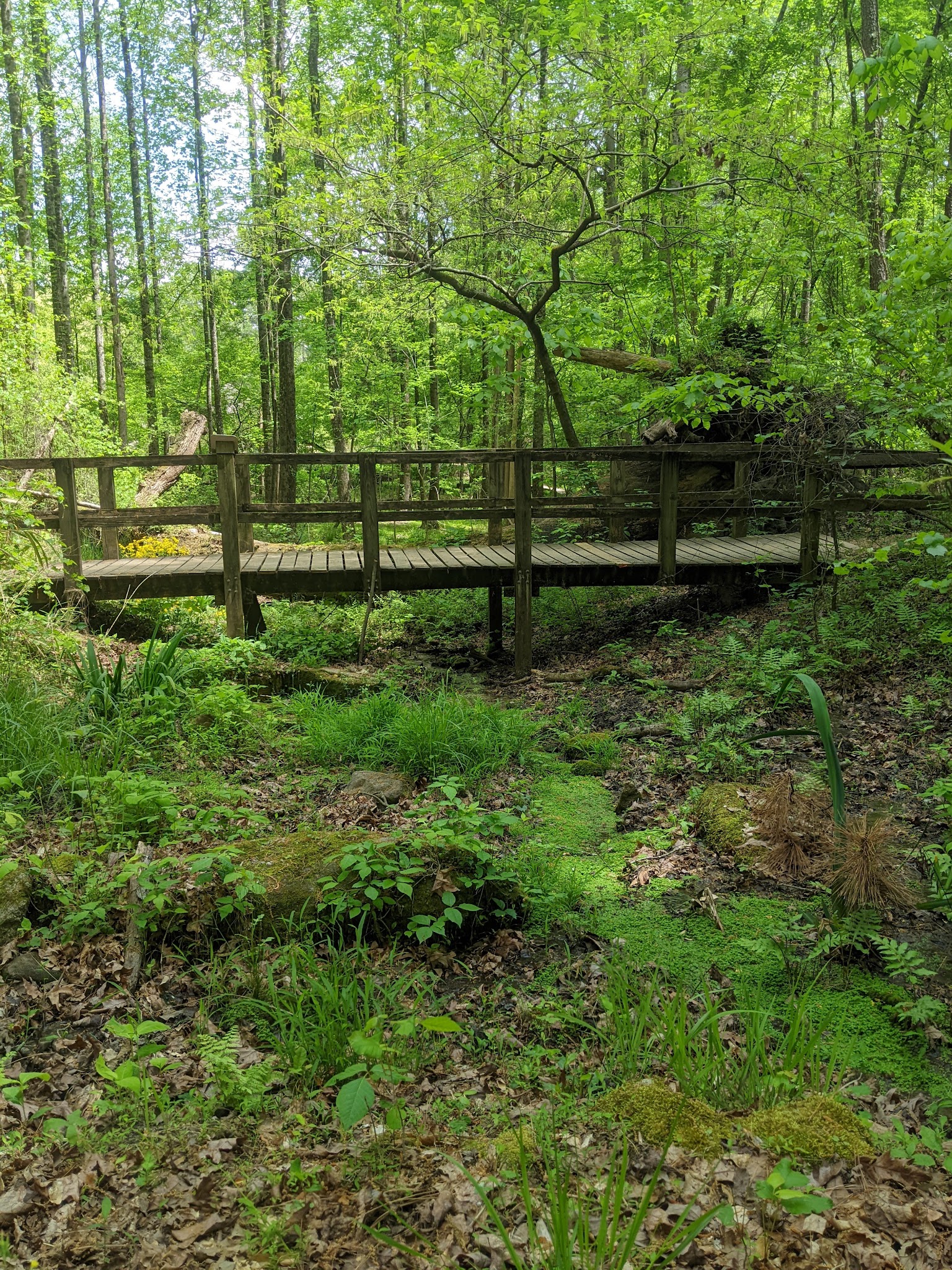 Reynolds Nature Preserve - Morrow, GA