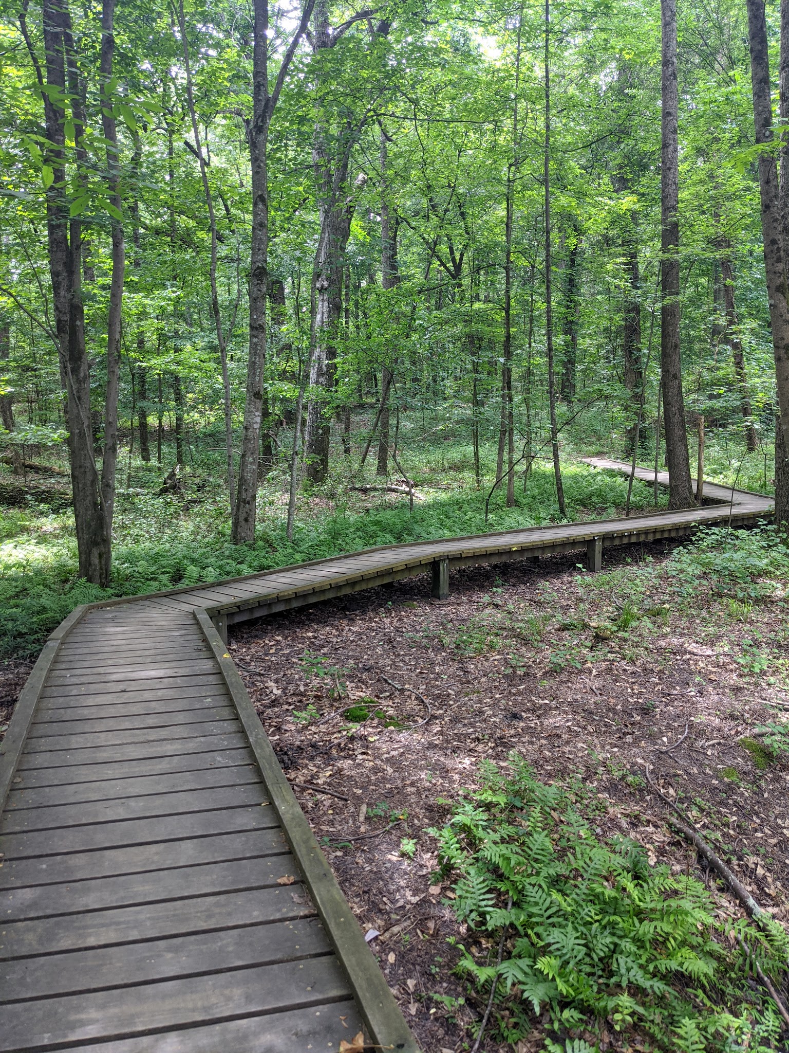 Reynolds Nature Preserve - Morrow, GA