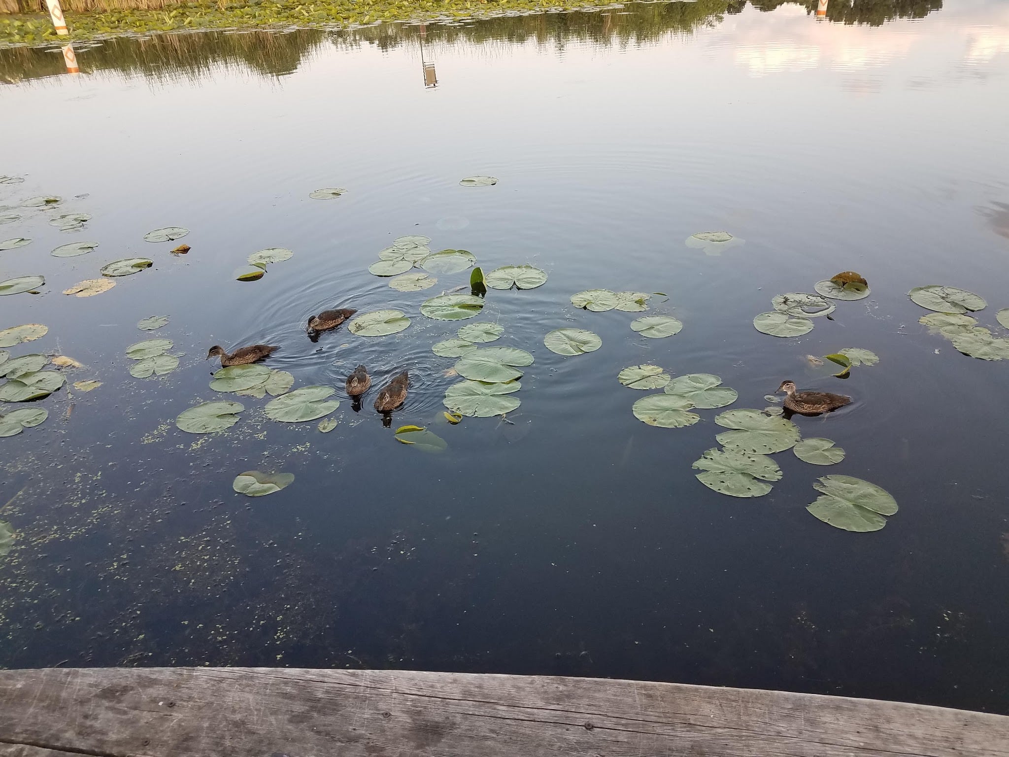 Dakota Rail Trail Parking - Mound, MN
