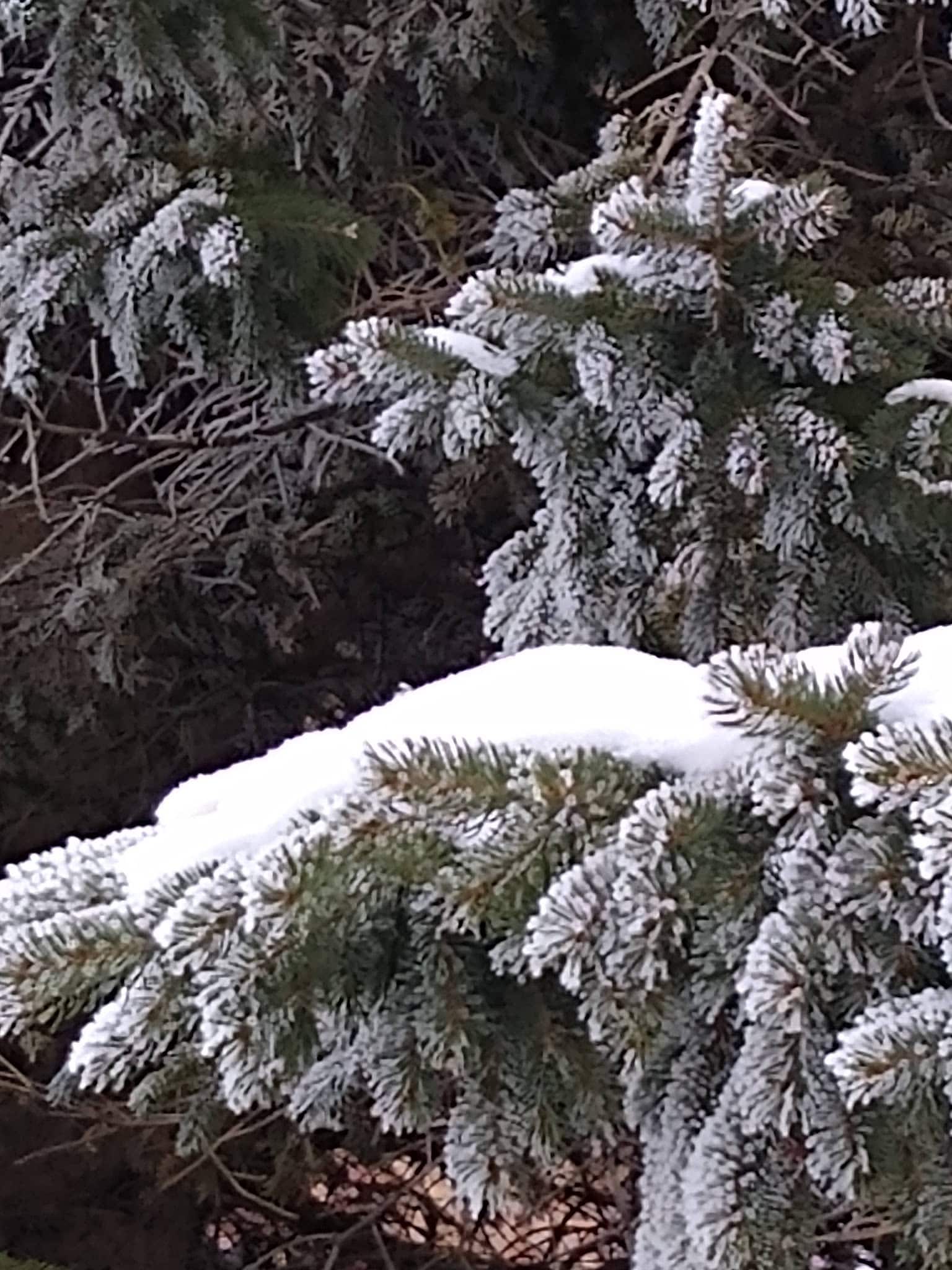 Dakota Rail Trail Parking - Mound, MN