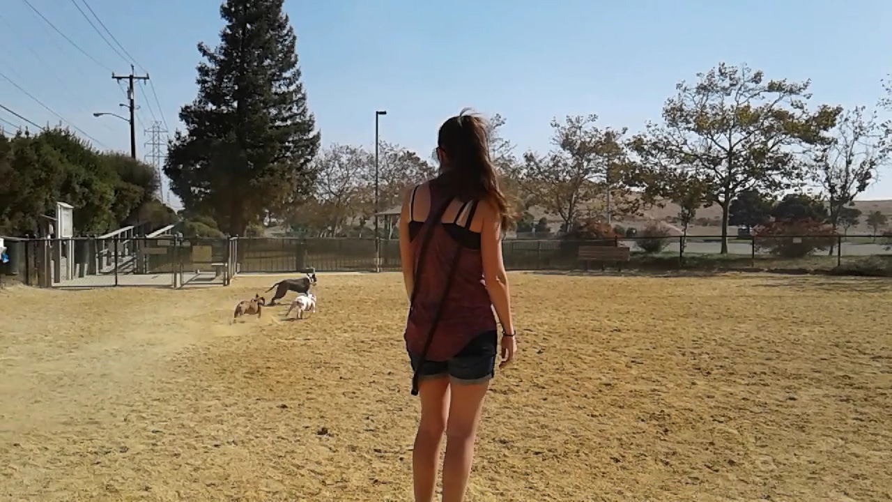 City of Mountain View Dog Park - Mountain View, CA