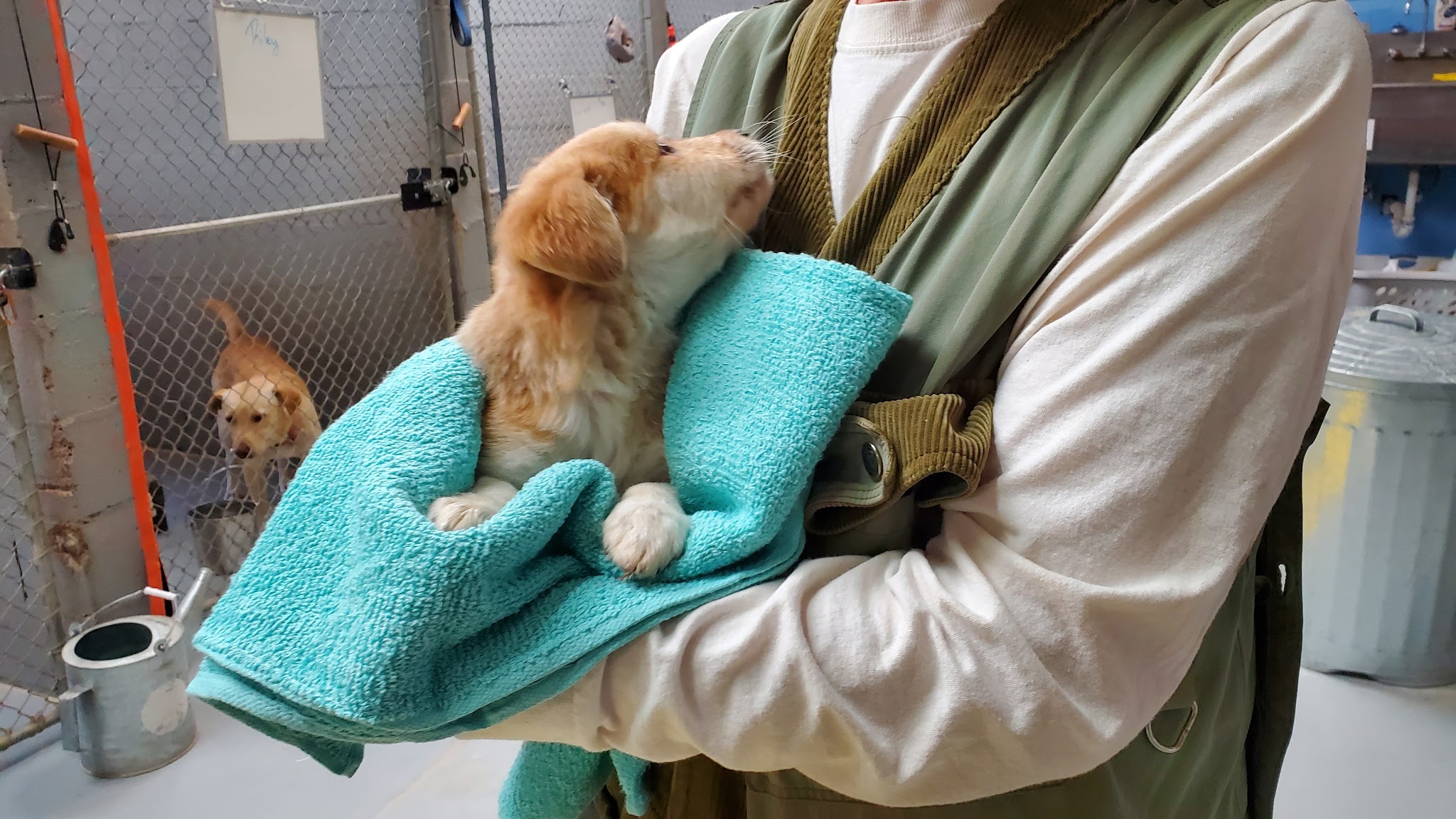 Mountainair Animal Control Shelter - Mountainair, NM